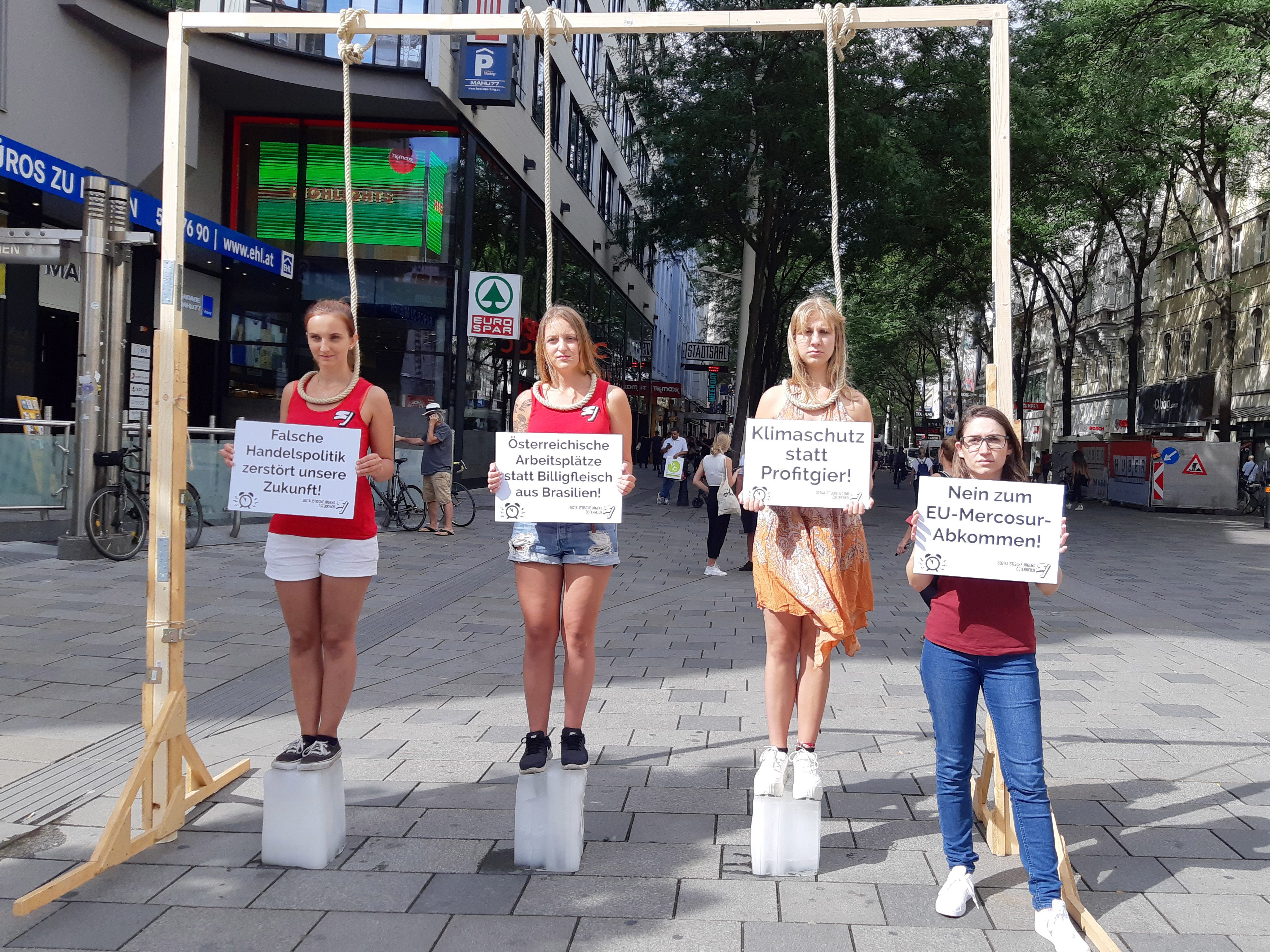 Bei der Aktion auf der Mariahilfer Straße präsentierte die SJ ihre Forderungen.