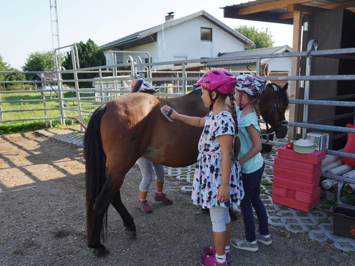 Die Erlebnistage auf dem Ponyhof waren sehr beliebt Die Erlebnistage auf dem Ponyhof waren sehr beliebt