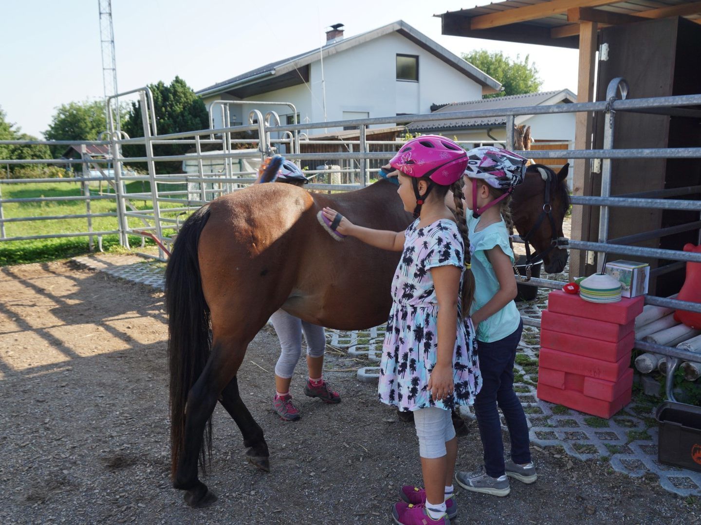 Die Erlebnistage auf dem Ponyhof waren sehr beliebt