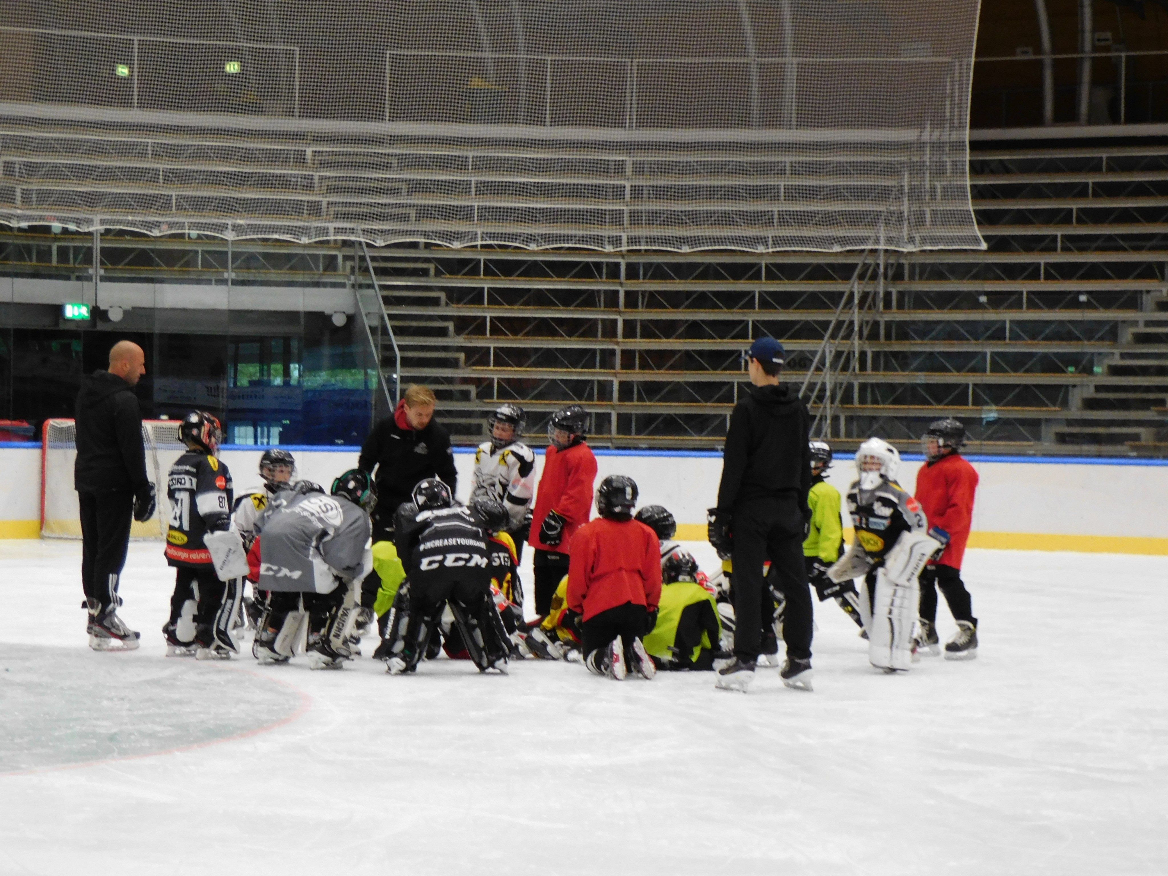 Bulldogs Kids bereiten sich auf neue Saison vor Bulldogs Kids bereiten sich auf neue Saison vor