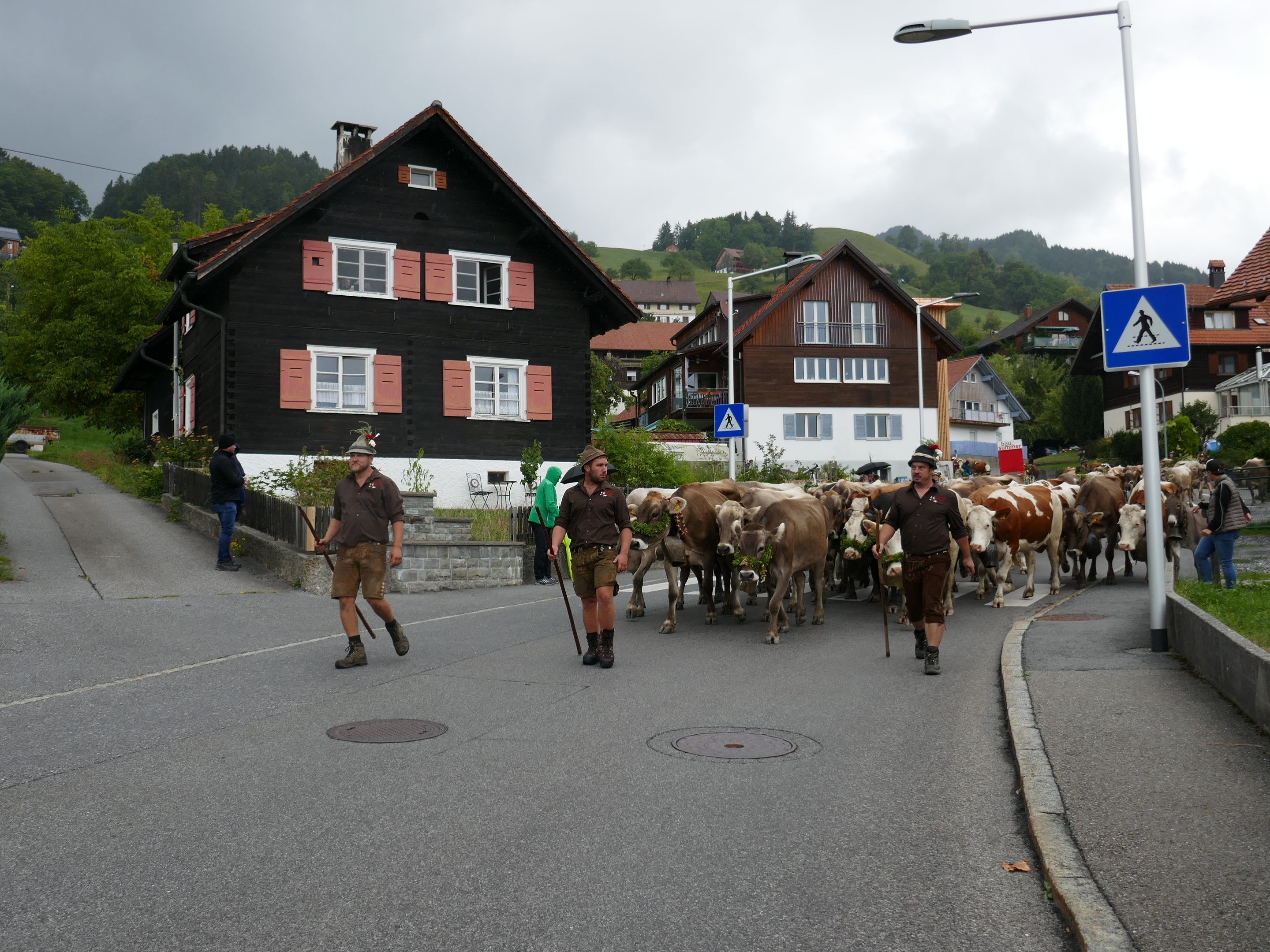 Alpabtrieb der Milchkühe am Samstag, 7. September - 13 Uhr. Alpabtrieb der Milchkühe am Samstag, 7. September - 13 Uhr.
