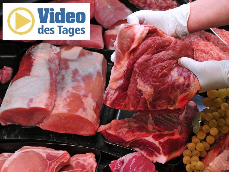 Vegan essen ist gesund, wenn man es richtig macht