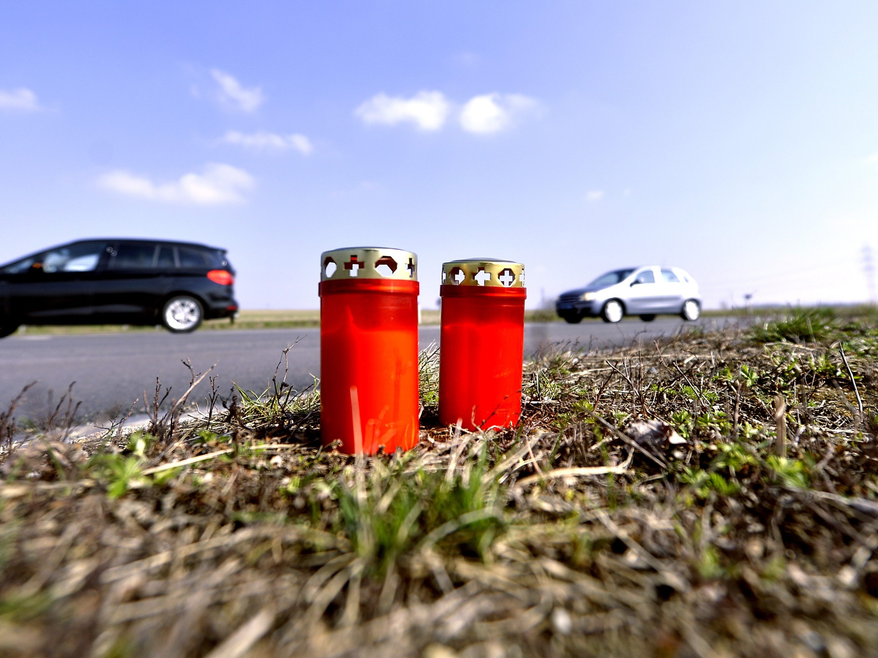 Der Autofahrer und sein Hund überlebten den Unfall nicht.