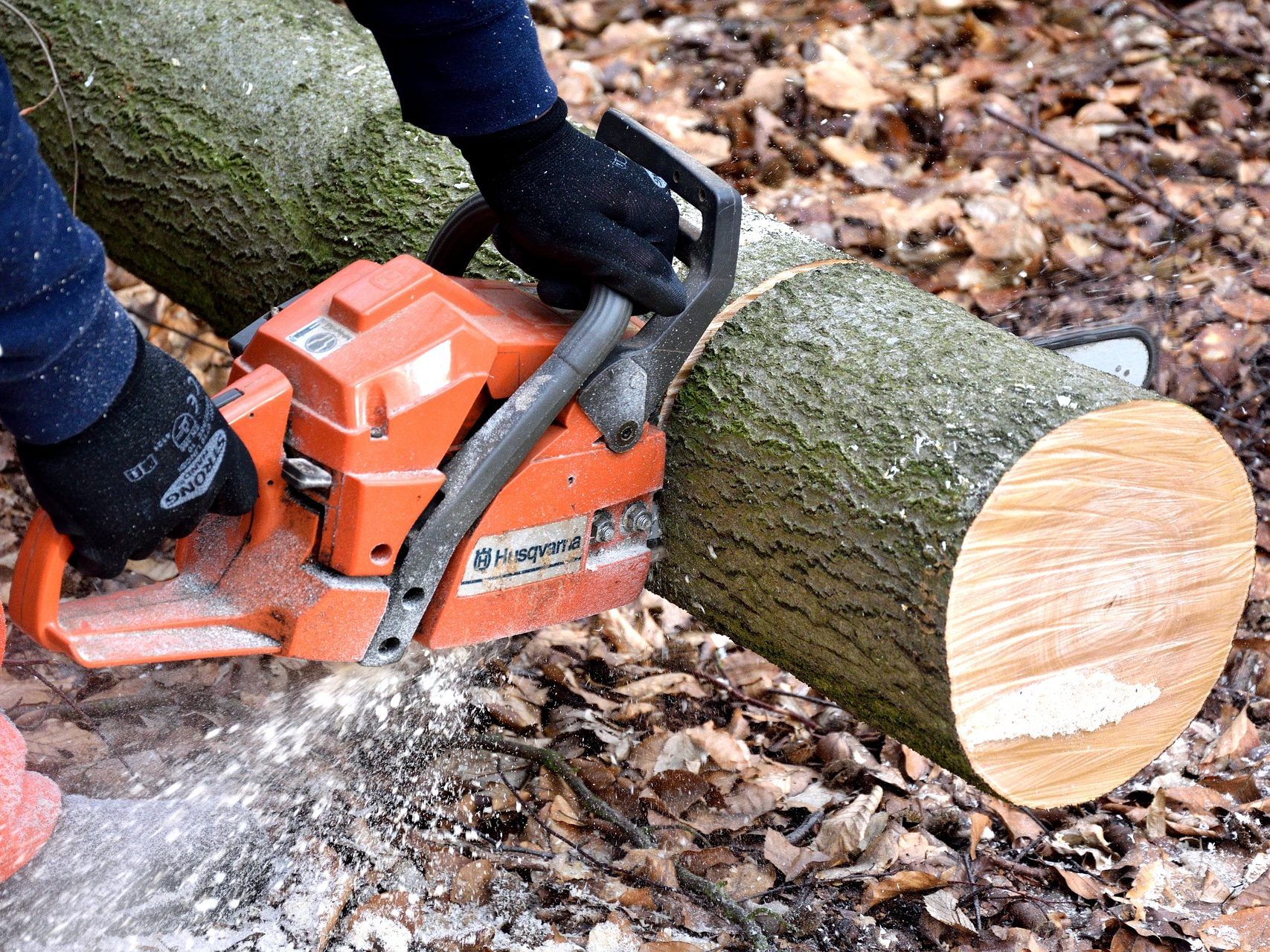 Der Mann kehrte nach Holzarbeiten nicht mehr aus dem Wald zurück.