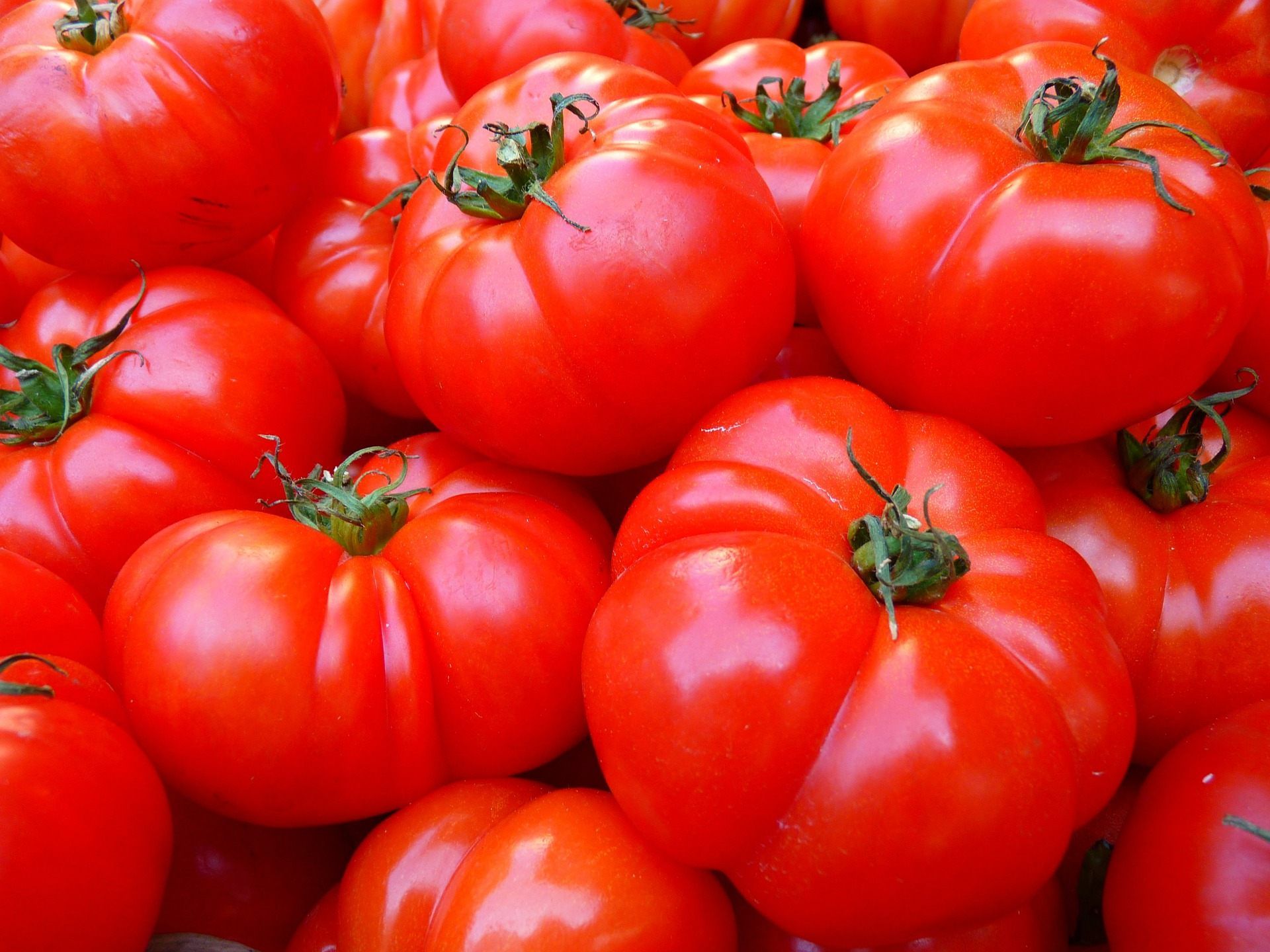 Tomaten sind das Lieblingsgemüse der Österreicher. Oder doch Obst?