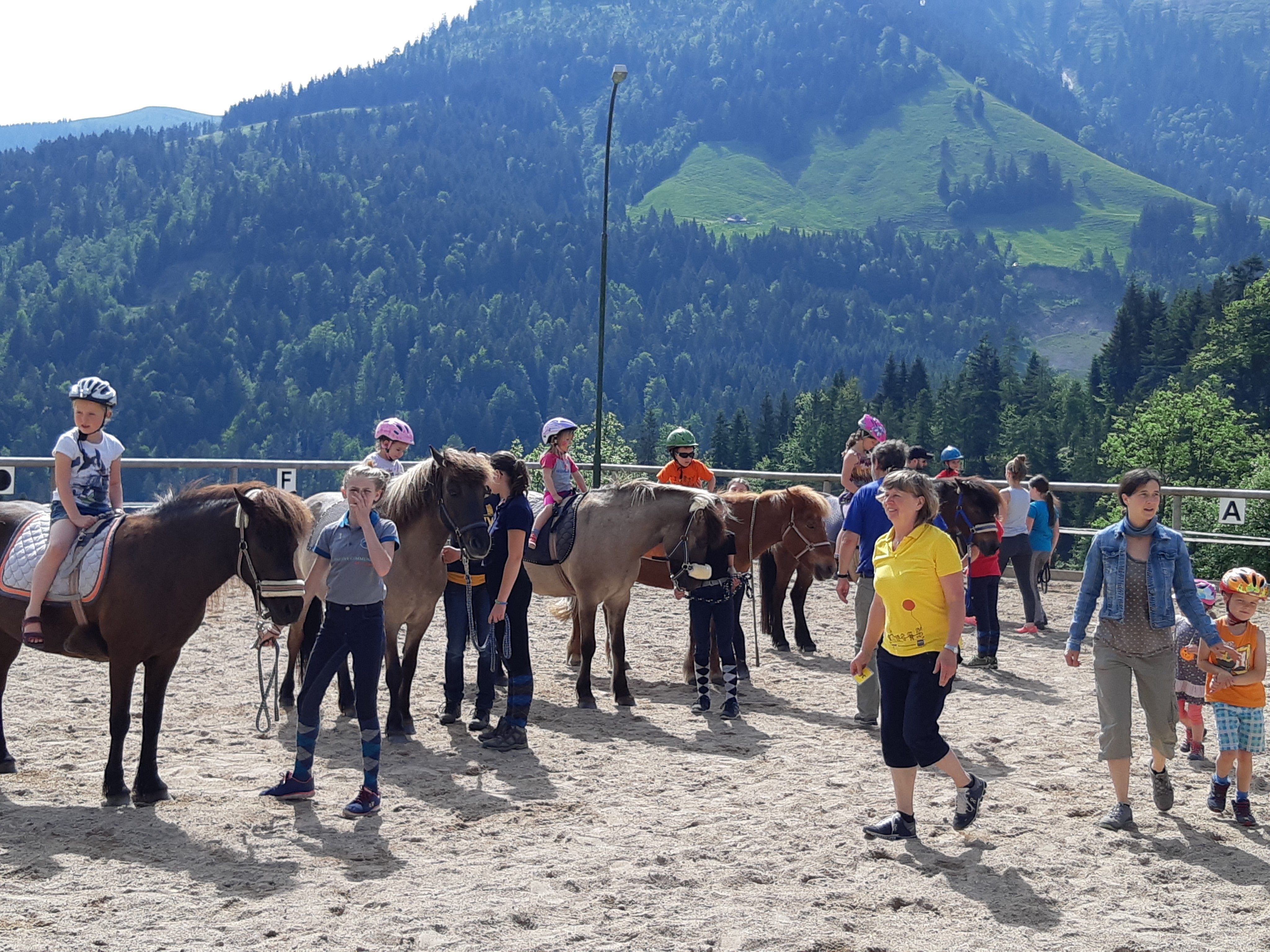 Pferdeliebhaber kommen beim Elki-Kurs im Ebnit voll auf ihre Kosten. Pferdeliebhaber kommen beim Elki-Kurs im Ebnit voll auf ihre Kosten.