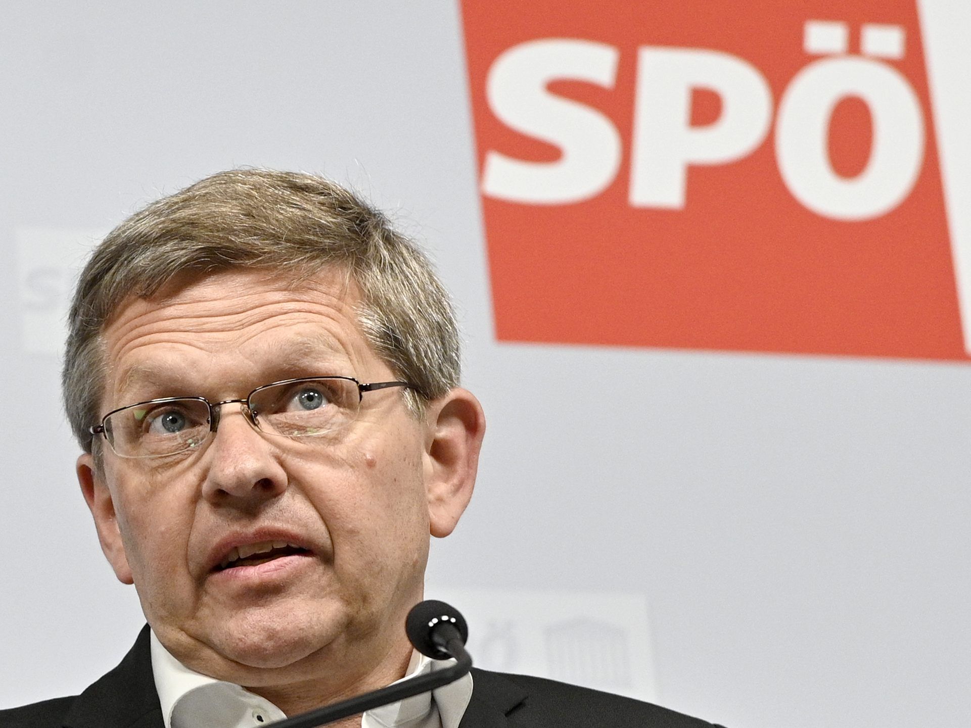 Deutsch war im Jänner als Wahlkampfleiter der SPÖ eingesetzt worden. Deutsch war im Jänner als Wahlkampfleiter der SPÖ eingesetzt worden.