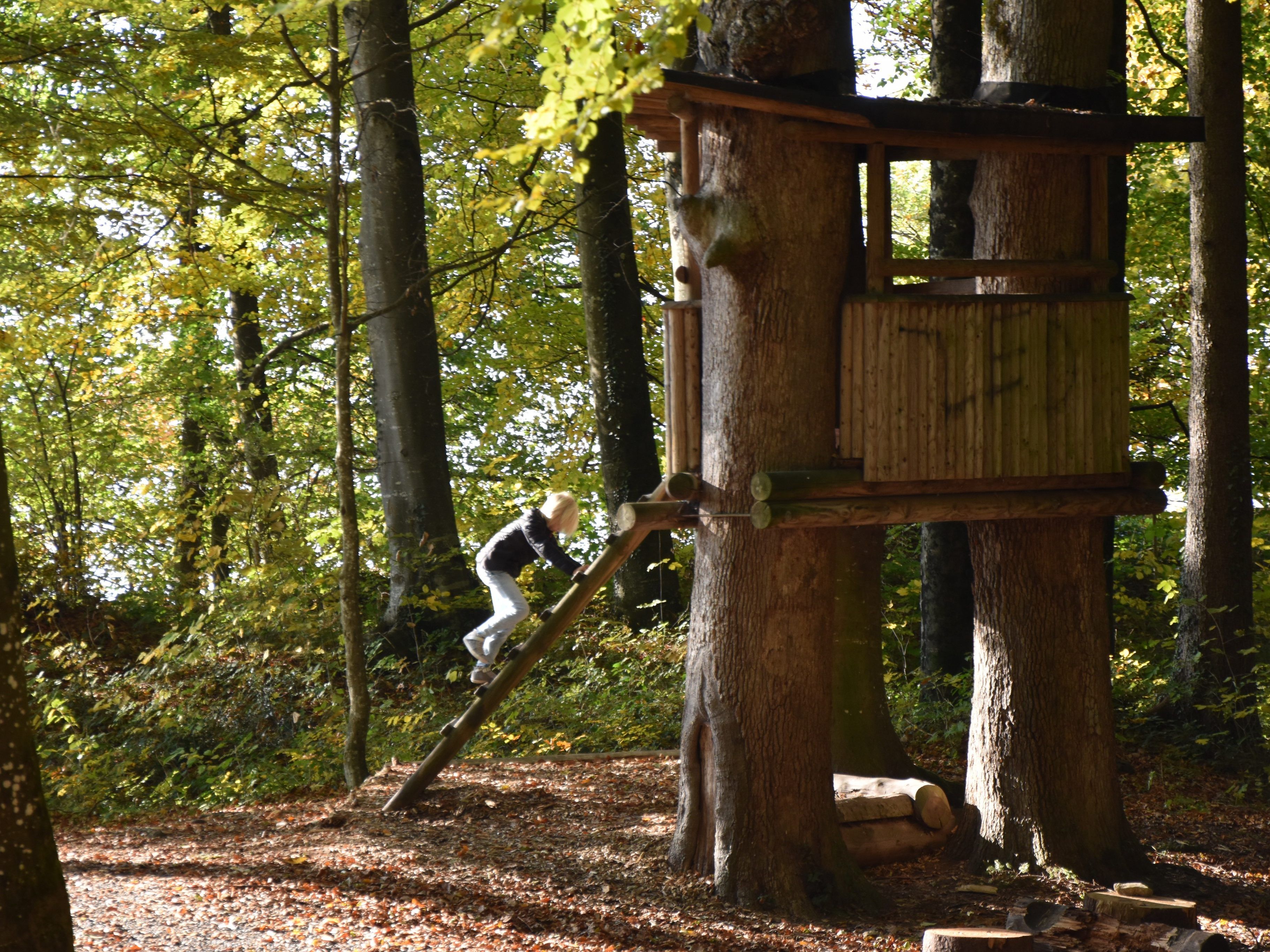 In Röthis wurden die Spielräume erweitert In Röthis wurden die Spielräume erweitert