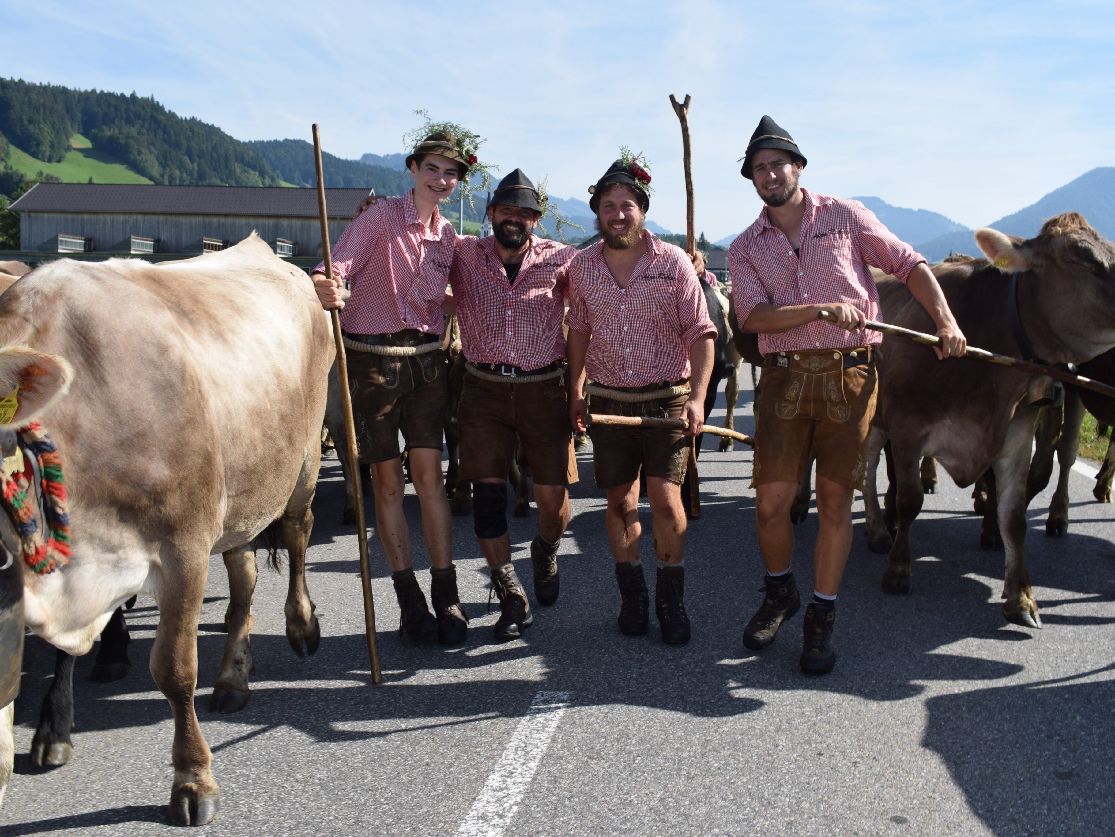 Eine große Herde zog beim Alpabtrieb von der Alpe Rubach durch die Vorderwälder Dörfer. Eine große Herde zog beim Alpabtrieb von der Alpe Rubach durch die Vorderwälder Dörfer.