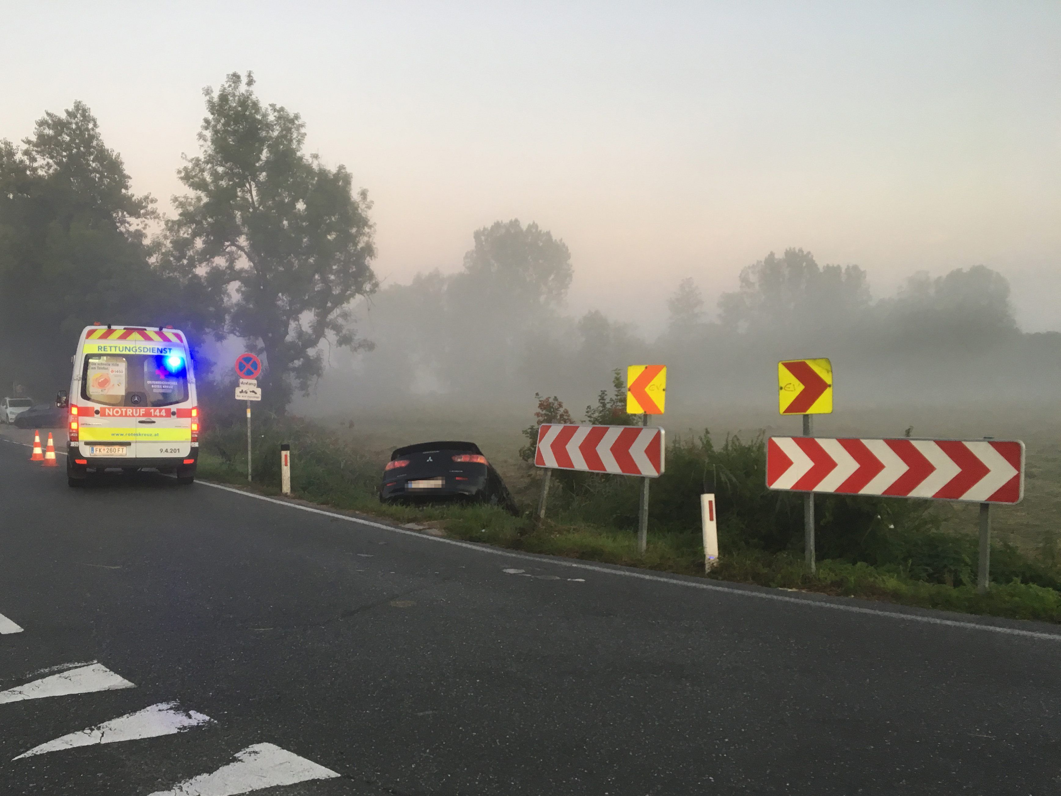 Der Fahrzeuglenker wurde bei dem Unfall verletzt.