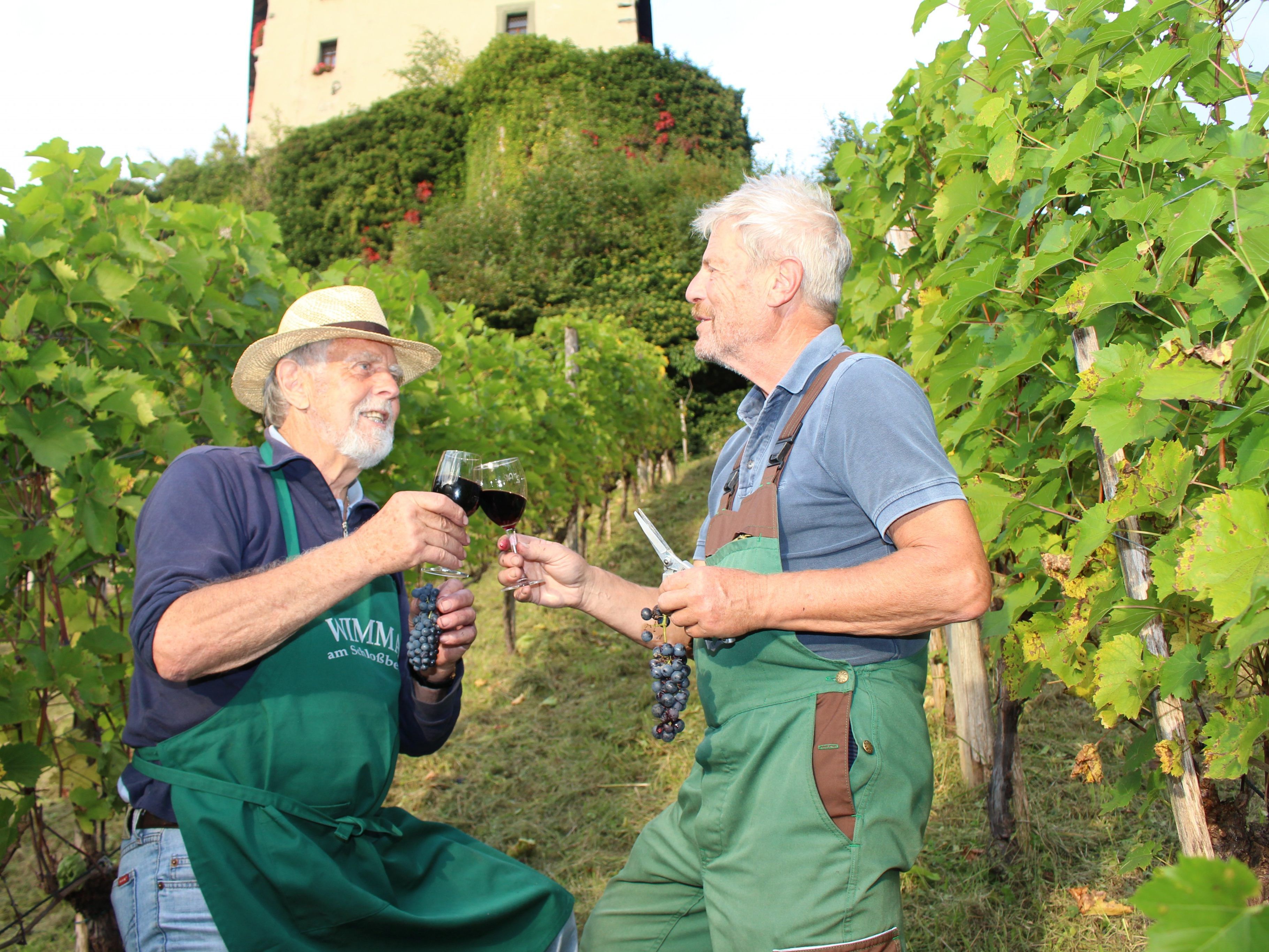 Ein Gläschen nach getaner Arbeit: Die Weinlese 2019 an der Schattenburg ist vollbracht.