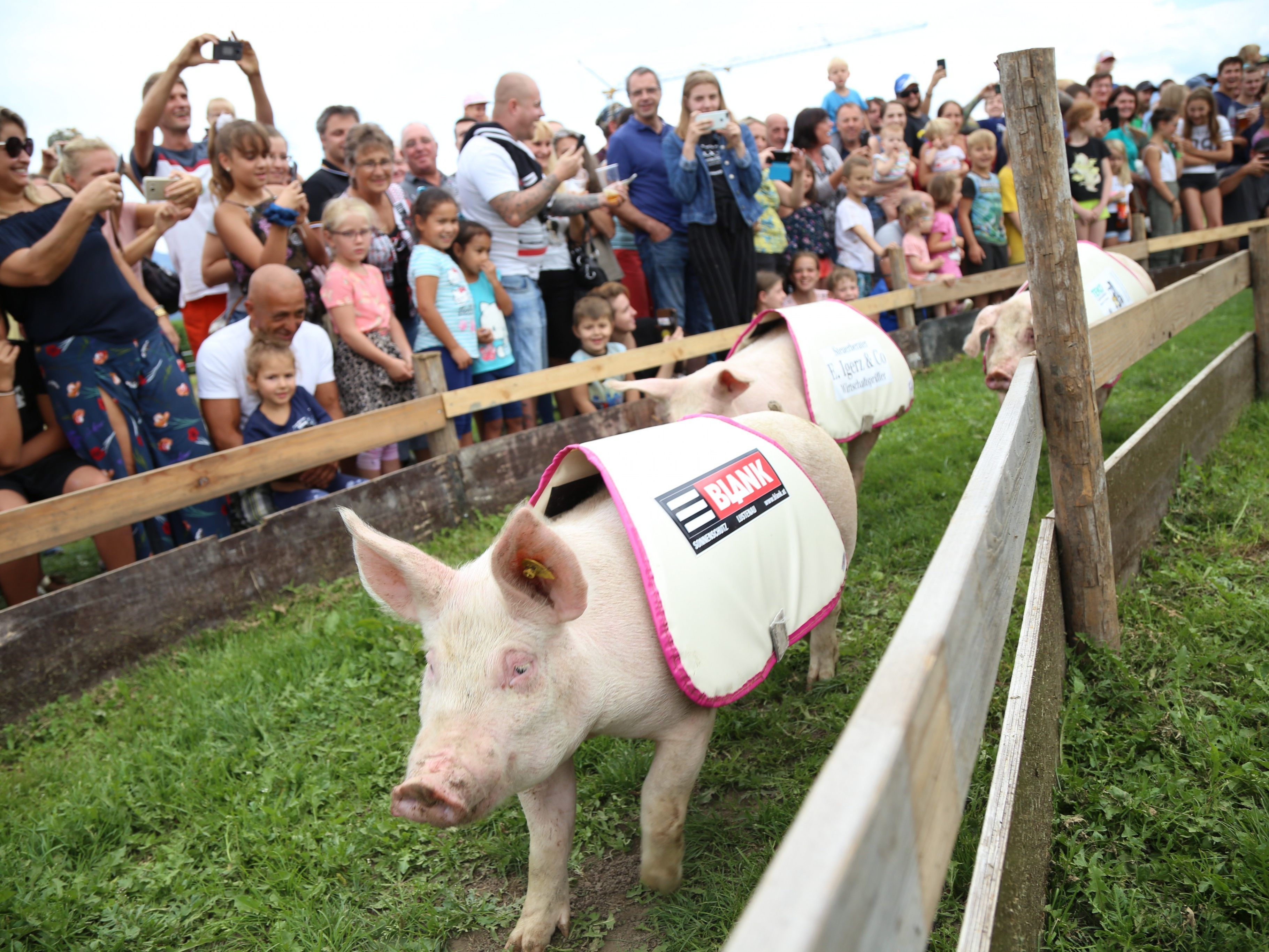 Vollgas für die Rennschweine in Rankweil.