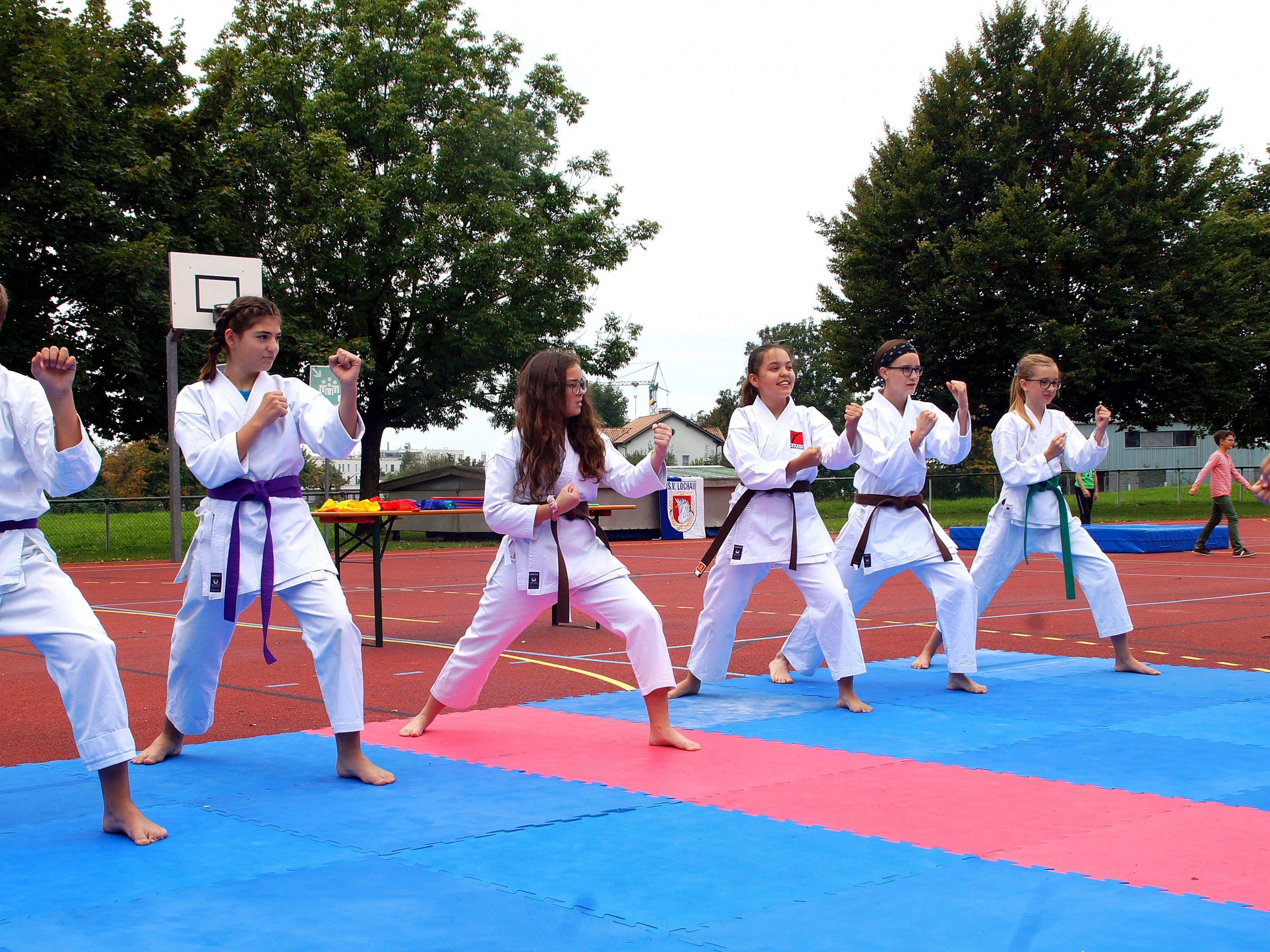 Für den schwungvollen Auftakt des 1. ASVÖ Familiensporttag Leiblachtal sorgte der Verein Karate Hörbranz mit einem tollen Karate-Showkamp Für den schwungvollen Auftakt des 1. ASVÖ Familiensporttag Leiblachtal sorgte der Verein Karate Hörbranz mit einem tollen Karate-Showkamp