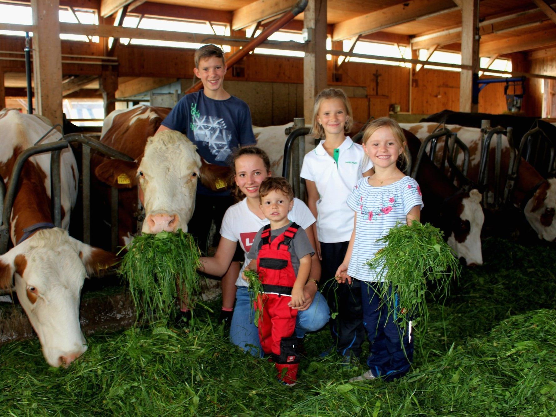 Das Hoffest mit Hofbesichtigung bei der Fam. Rist am Buchenberg in Lochau wird auch für die Kinder zum Erlebnis. Das Hoffest mit Hofbesichtigung bei der Fam. Rist am Buchenberg in Lochau wird auch für die Kinder zum Erlebnis.