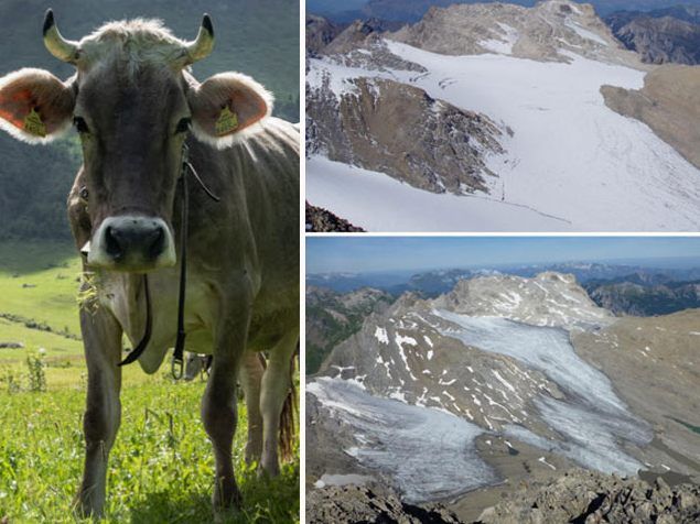 Schon heute ist die Klimakrise in Österreich angekommen