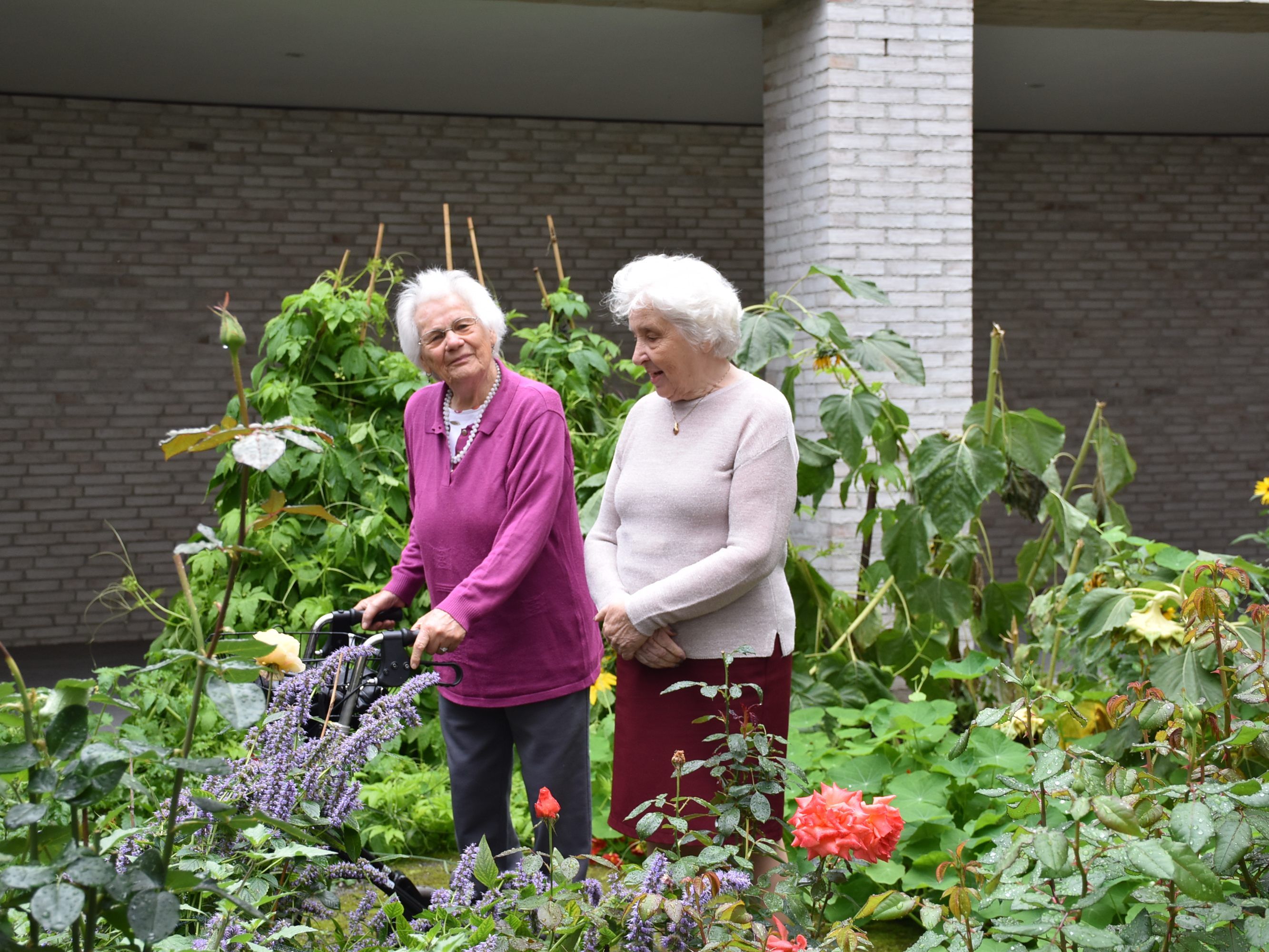 Umgestalteter Garten im Pflegeheim Birkenwiese