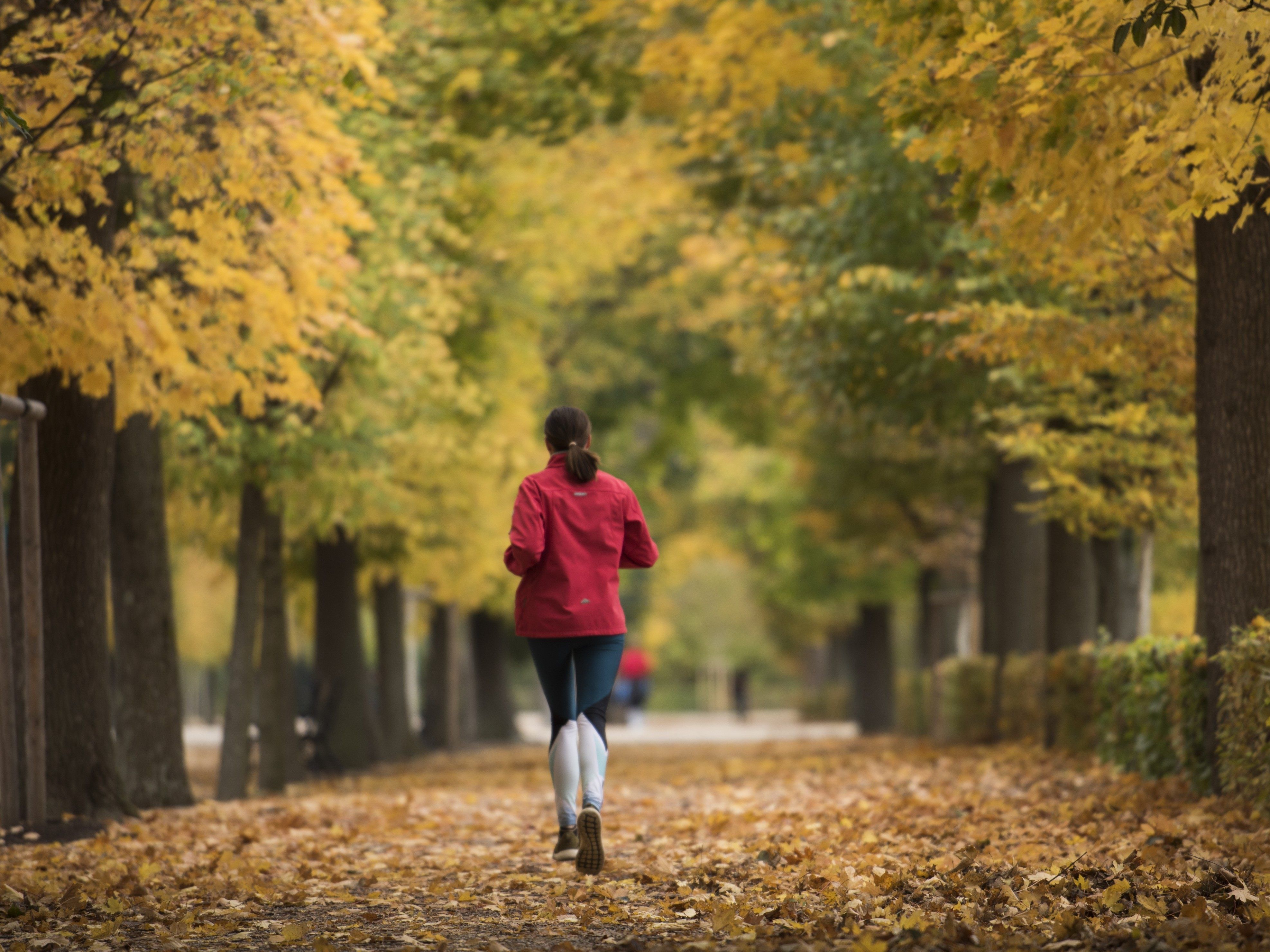 Das Wetter in Österreich wird herbstlich. Das Wetter in Österreich wird herbstlich.