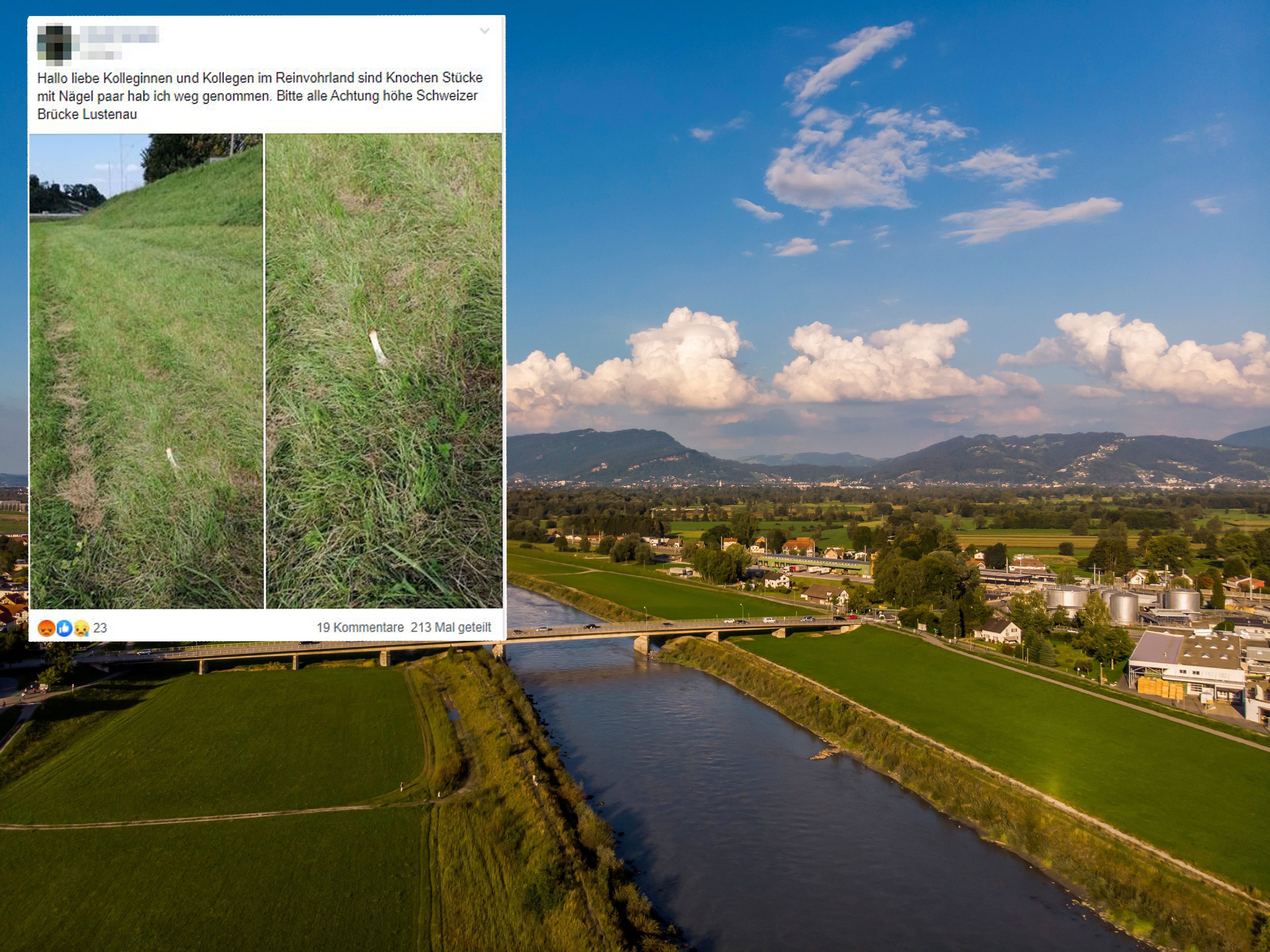 Die Giftköder wurden in Lustenau ausgelegt.