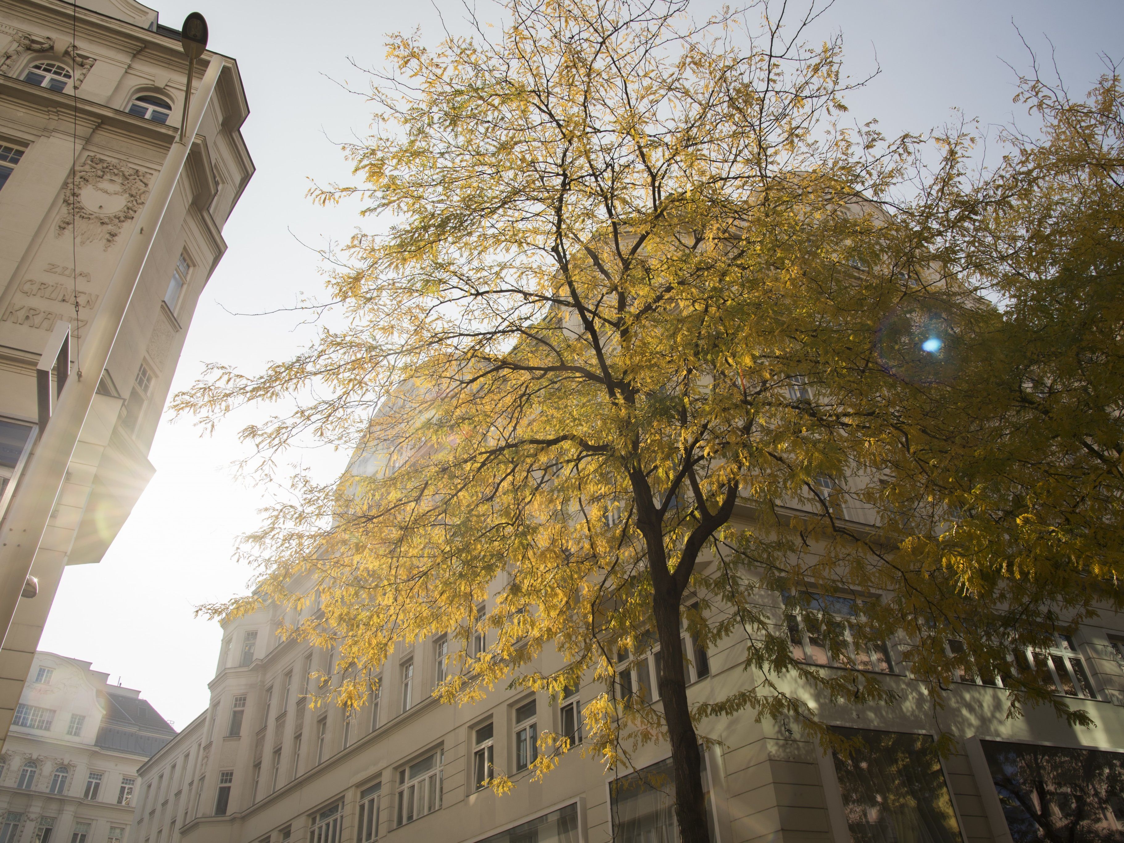 Der Wahl-Sonntag bringt sonniges und mildes Wetter mit sich. Der Wahl-Sonntag bringt sonniges und mildes Wetter mit sich.