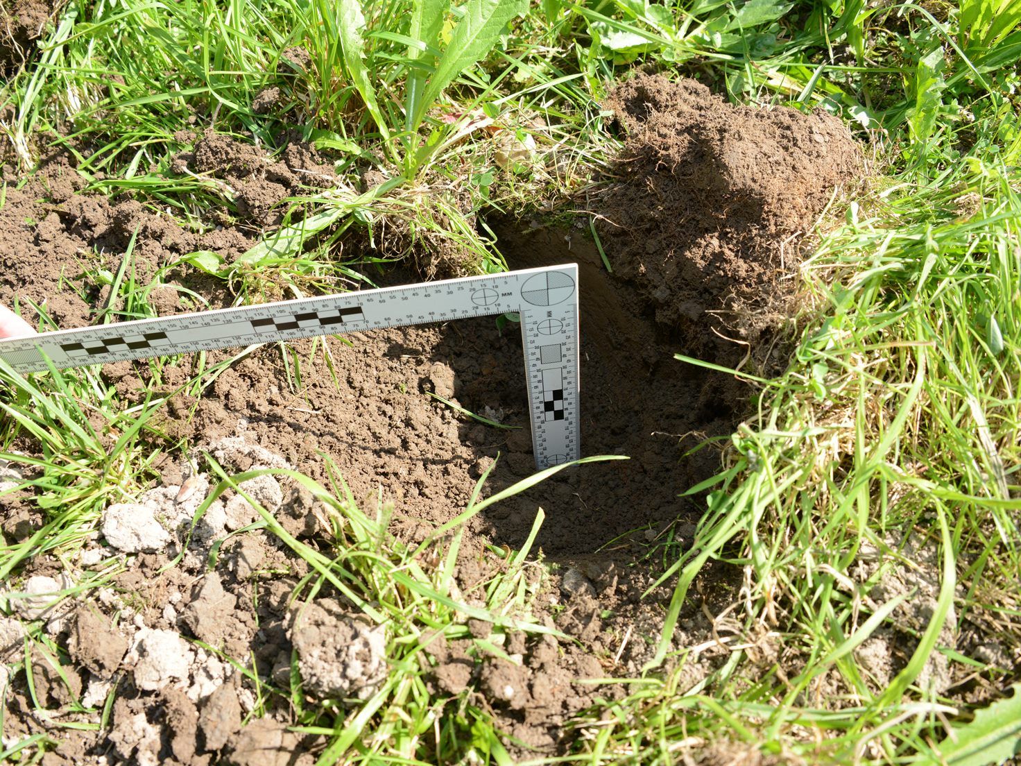 Illegale Grabungen im Gebiet der Burgruine Schellenberg. Illegale Grabungen im Gebiet der Burgruine Schellenberg.