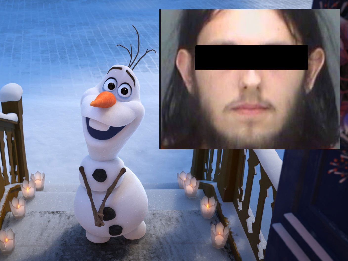 20-Jähriger hat "Sex" mit "Frozen"-Plüschtier 20-Jähriger hat "Sex" mit "Frozen"-Plüschtier