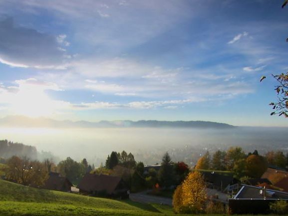 Eine Umfrage geht der Frage nach: Wissen die Österreich, wer heute wählt