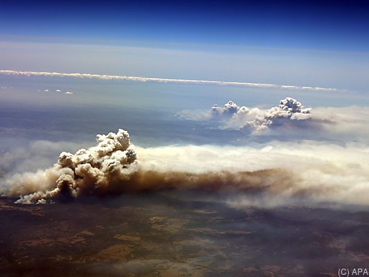 Die Waldbrände sind weiterhin ein Problem in Australien