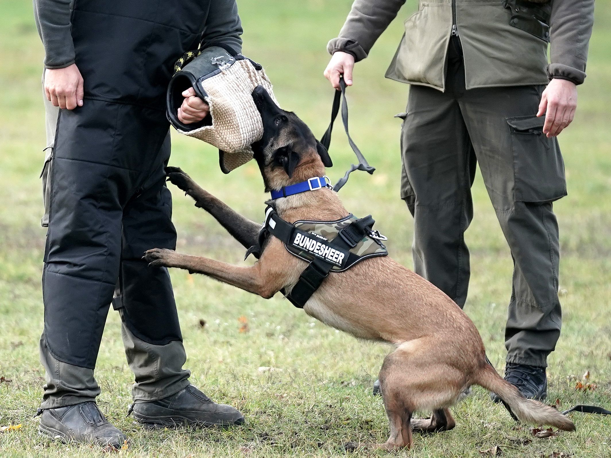 Offenbar gab es bereits einen Zwischenfall mit dem gleichen Hund.