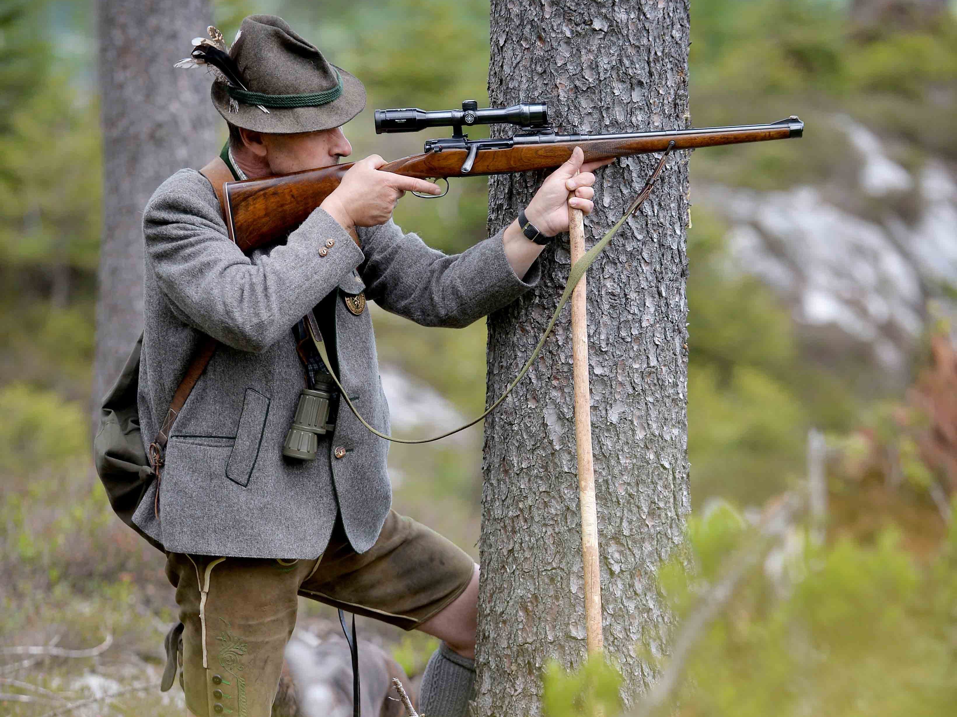 29Jähriger bei Jagd im Bezirk Mistelbach angeschossen VIENNA.AT