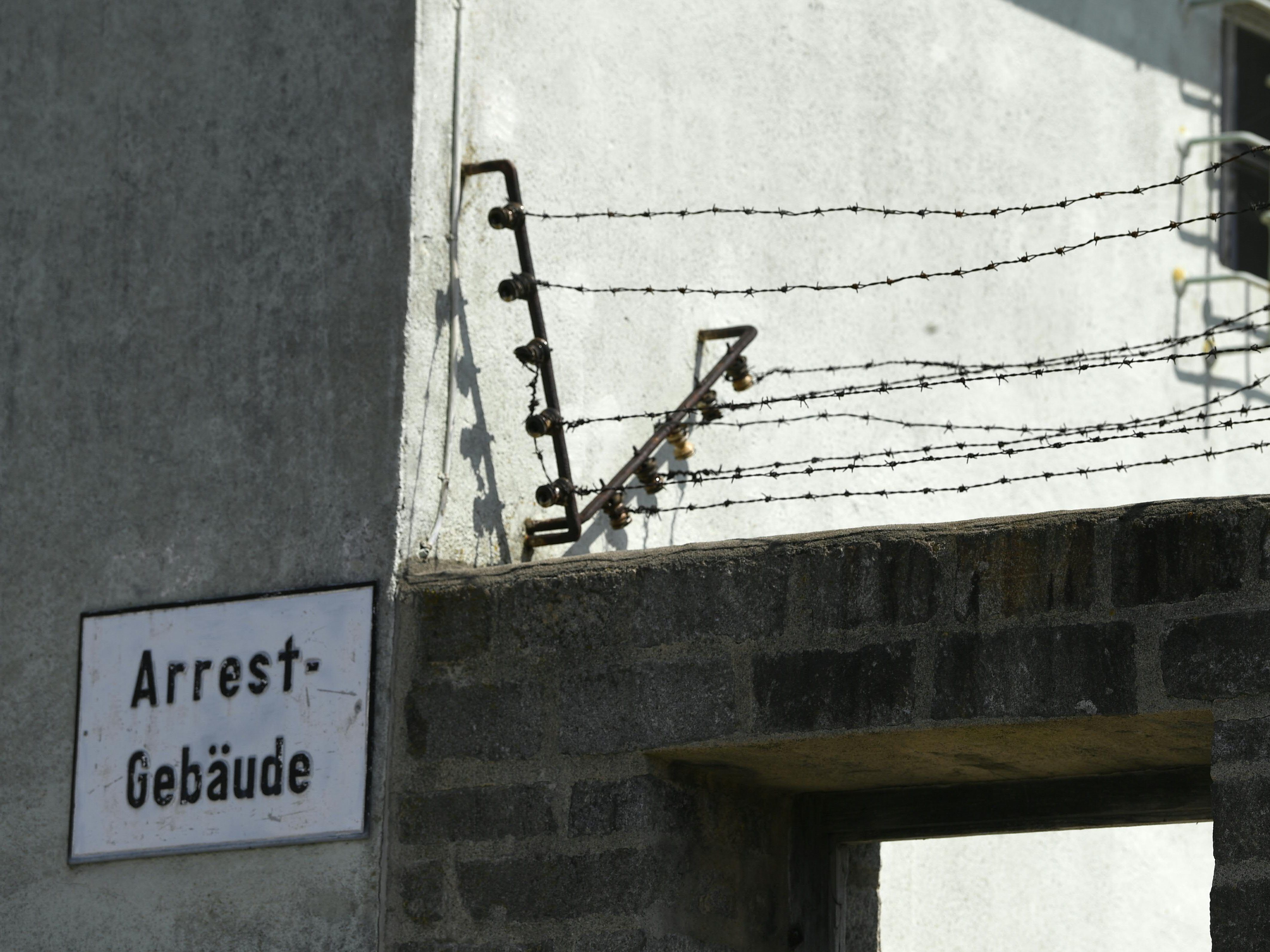 Die Gesprächspartner haben den Holocaust auf unterschiedliche Weise überlebt.