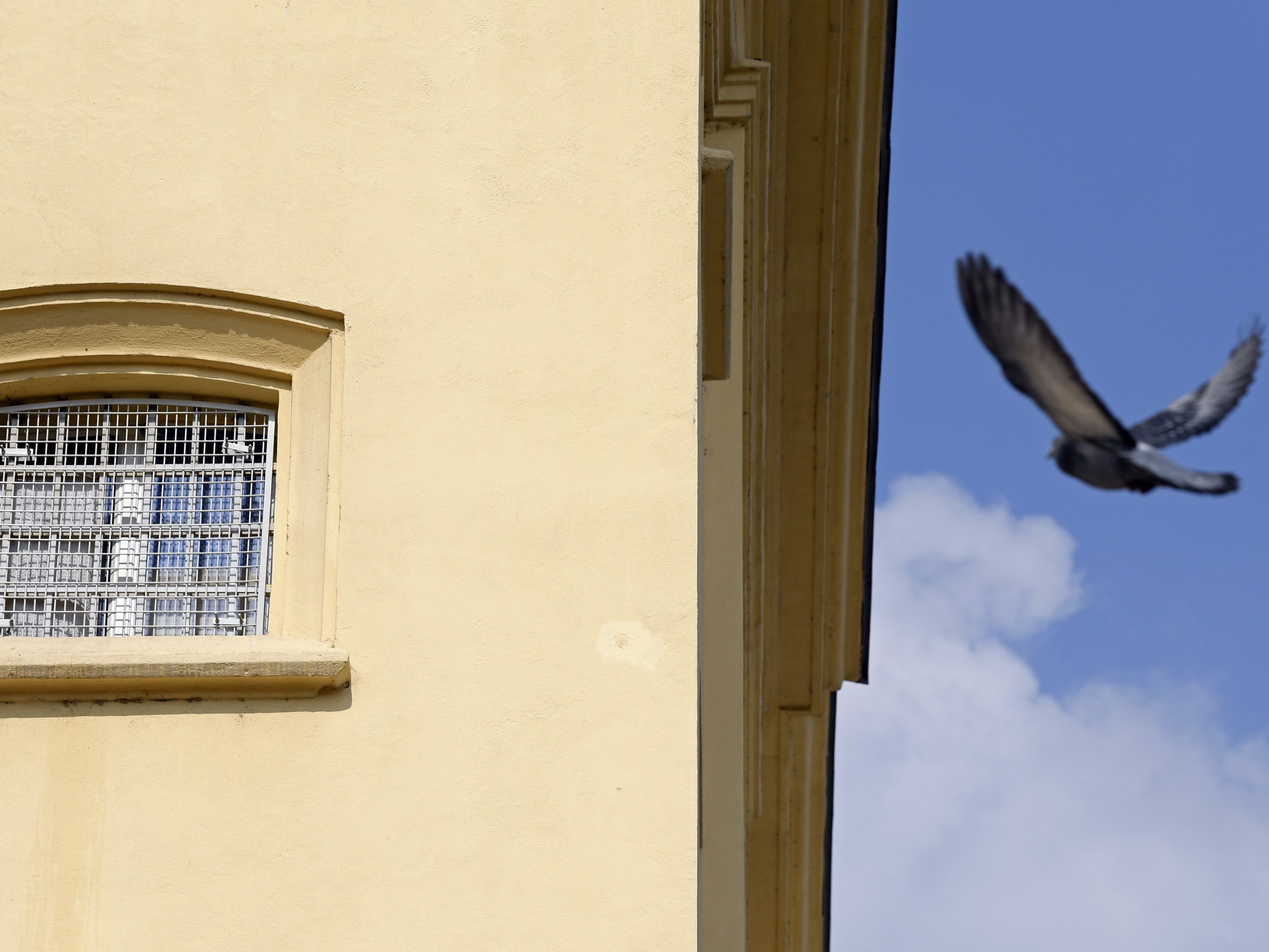 Der Häftling versuchte nach einem Friseurbesuch in Krems zu flüchten.