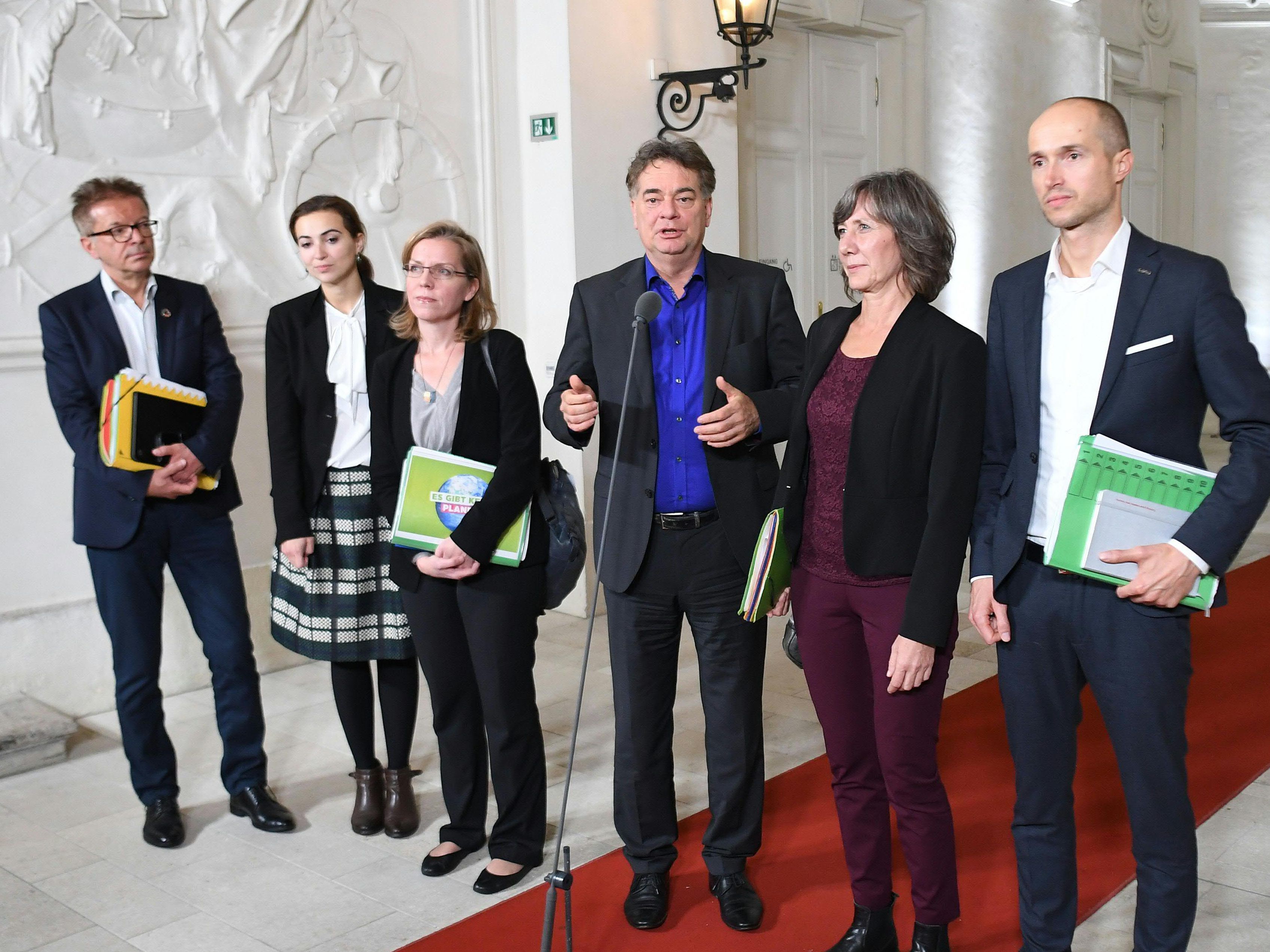 Rudi Anschober, Alma Zadic, Leonore Gewessler, Grünen-Chef Werner Kogler, Birgit Hebein und Josef Meichenitsch