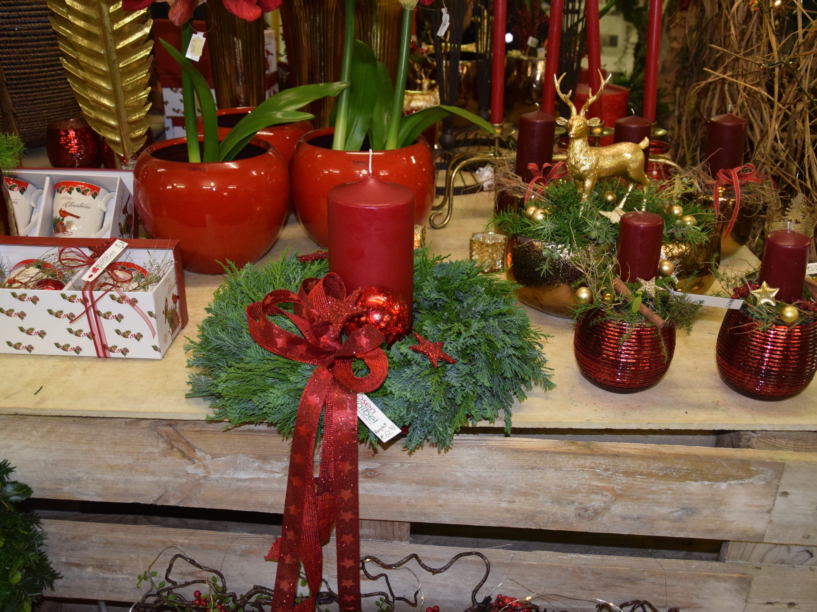 Ein Erlebnis - die Advent Ausstellung bei Rosen Waibel Ein Erlebnis - die Advent Ausstellung bei Rosen Waibel
