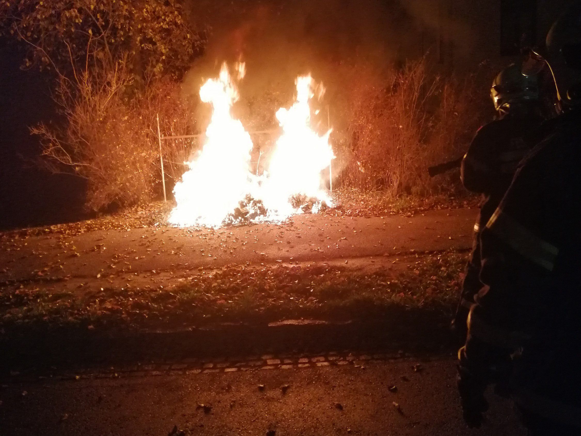 Der Müllcontainerbrand griff auf eine Hecke über.