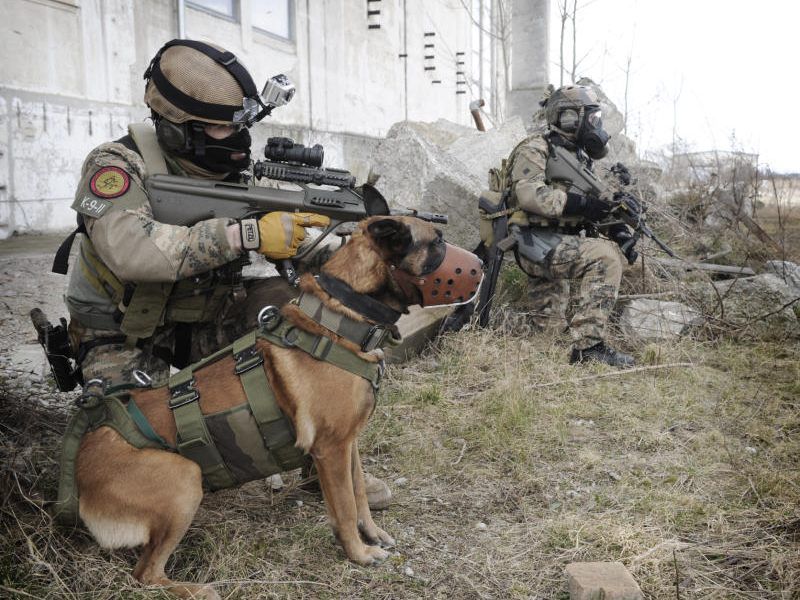 Jagdkommando-Soldaten des Bundesheeres mit einem Hund bei einer Übung