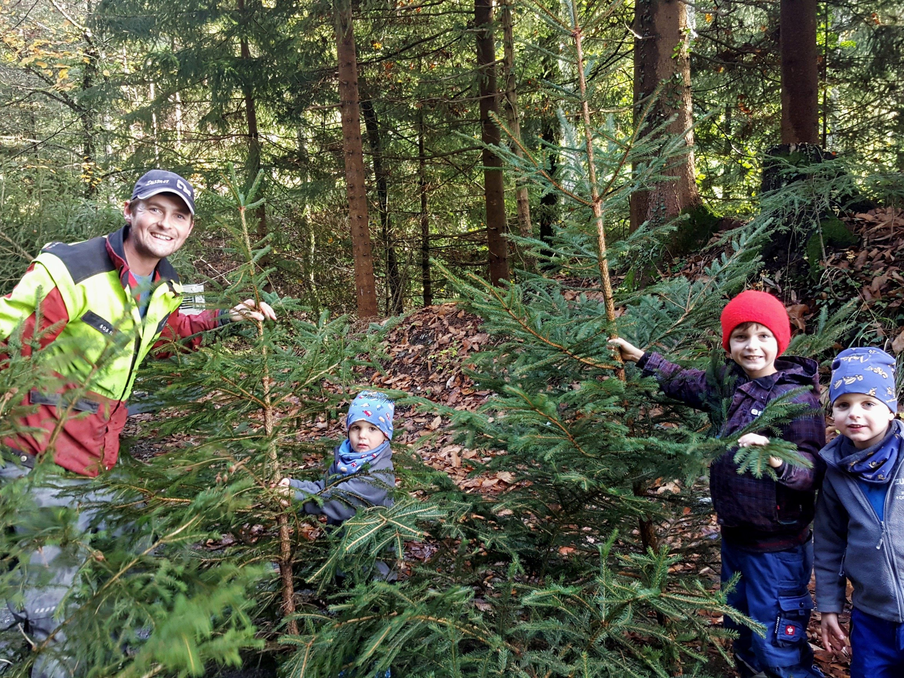 Alljährlich vor Weihnachten haben die Lochauer die willkommene Gelegenheit, sich heir im Ort einen heimischen Baum aus dem „Christbaumparadies Zußner“ zu besorgen. Alljährlich vor Weihnachten haben die Lochauer die willkommene Gelegenheit, sich heir im Ort einen heimischen Baum aus dem „Christbaumparadies Zußner“ zu besorgen.