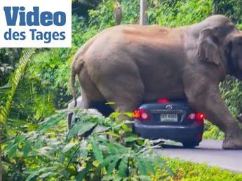 Er begrüße einfach gerne die Besucher, meinen die Mitarbeiter des Nationalparks