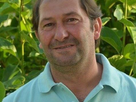 Gemeinderat, Gerhard Wieser