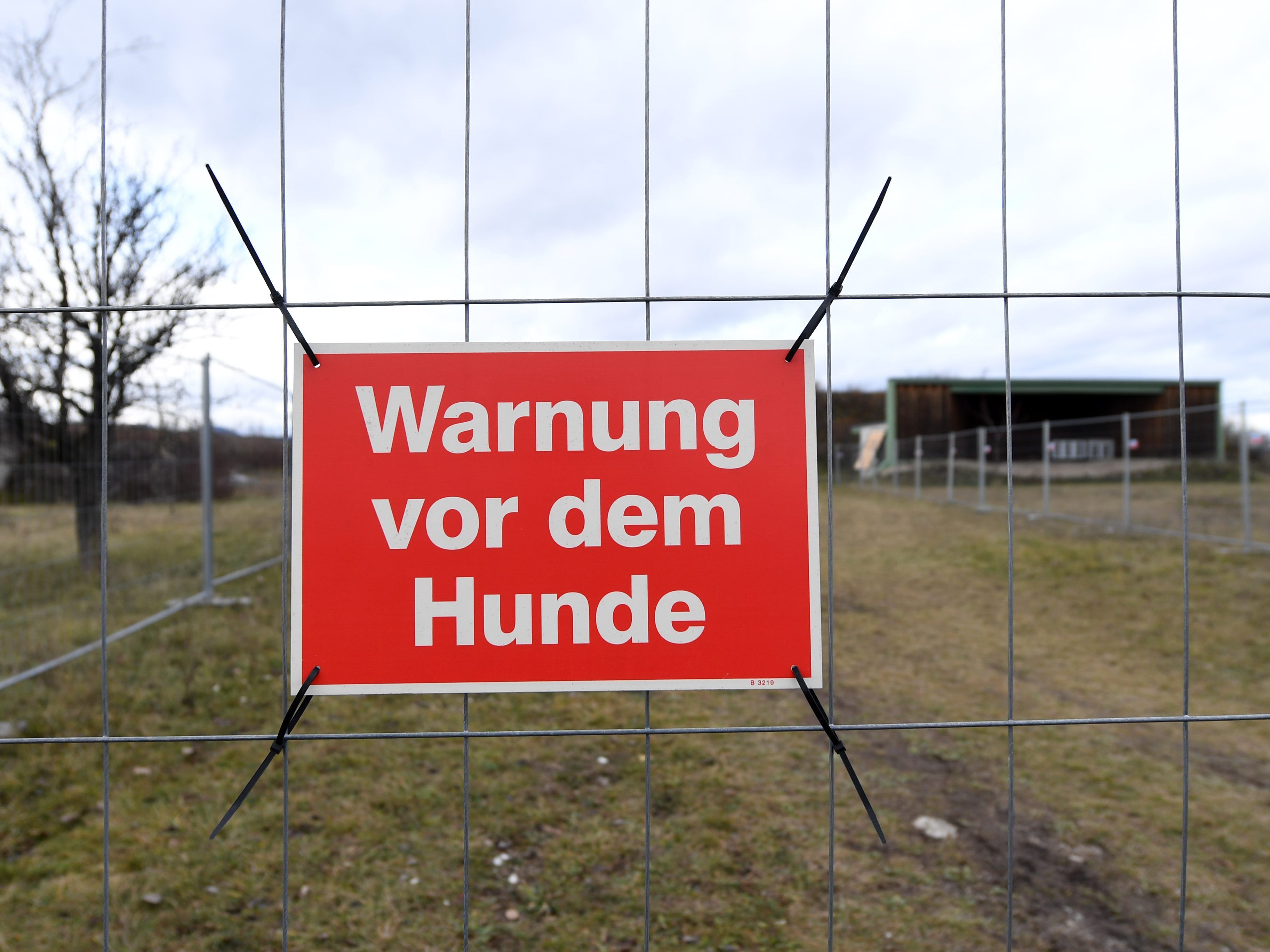 Beide Hunde werden nicht mehr als Diensthunde eingesetzt. Beide Hunde werden nicht mehr als Diensthunde eingesetzt.