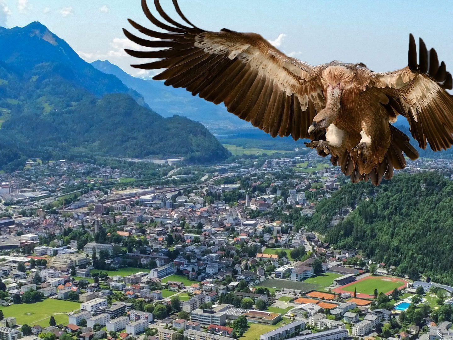 Der Pleitegeier schlug in Bludenz zu. Der Pleitegeier schlug in Bludenz zu.