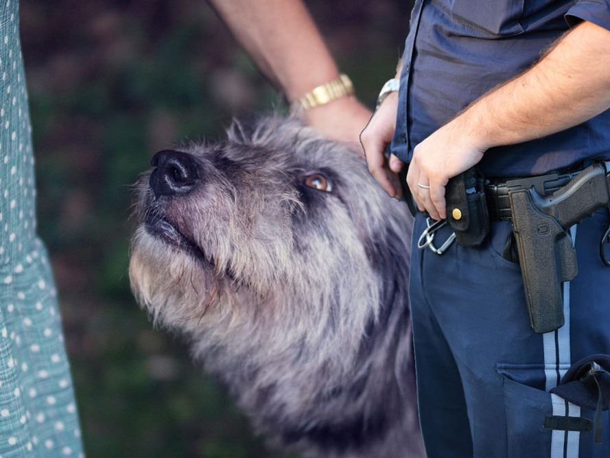 Verdächtige ausgeforscht Verdächtige ausgeforscht