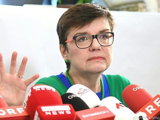 Petrovic wünscht grüne Handschrift bei Migrationspolitik Petrovic wünscht grüne Handschrift bei Migrationspolitik