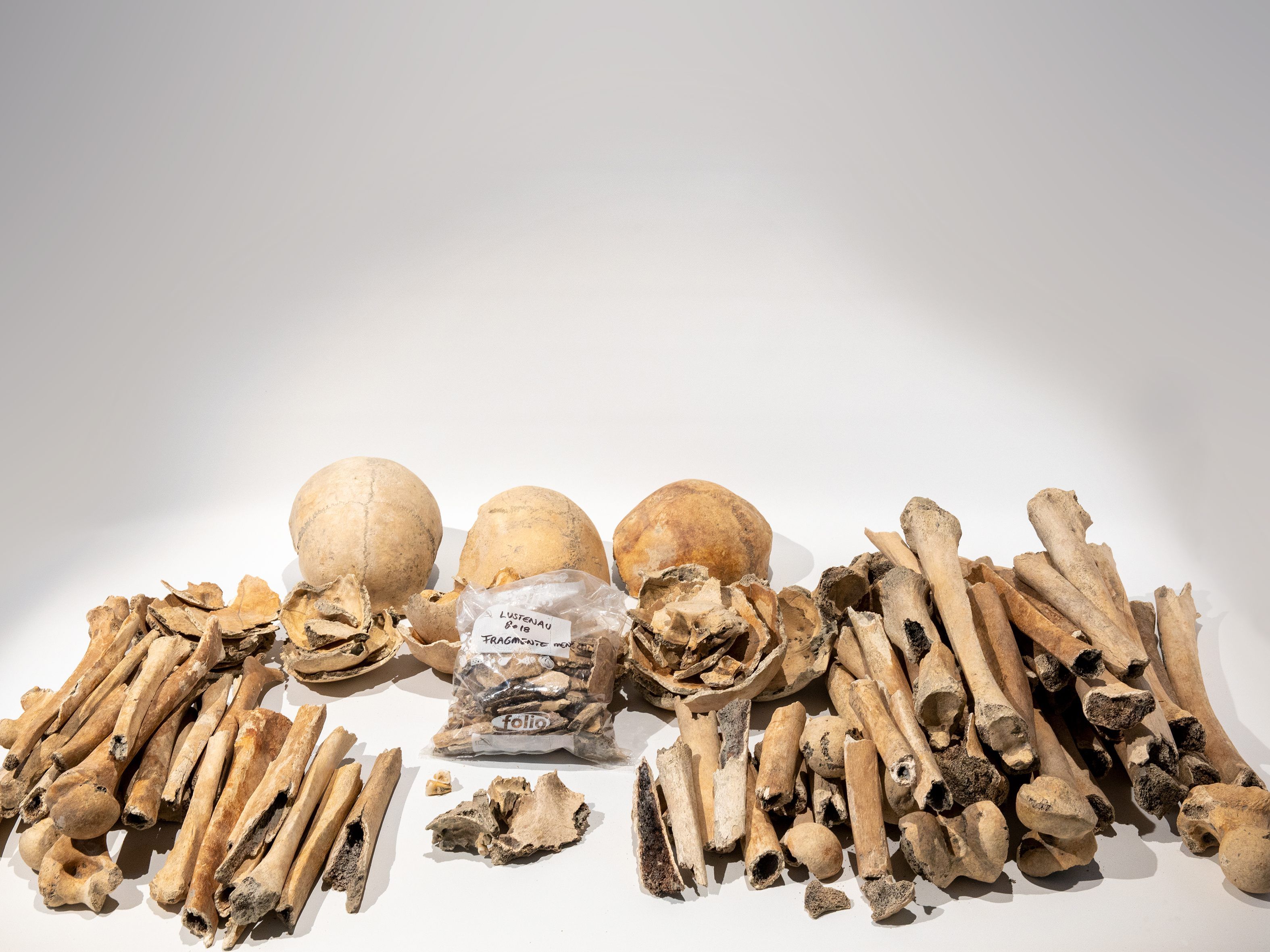 Die vor gut einem Jahr bei Bauarbeiten gefundenen, rund 500 Jahre alten, Gebeinfragmente finden nun eine letzte Ruhestätte auf dem Friedhof St. Peter und Paul. Die vor gut einem Jahr bei Bauarbeiten gefundenen, rund 500 Jahre alten, Gebeinfragmente finden nun eine letzte Ruhestätte auf dem Friedhof St. Peter und Paul.