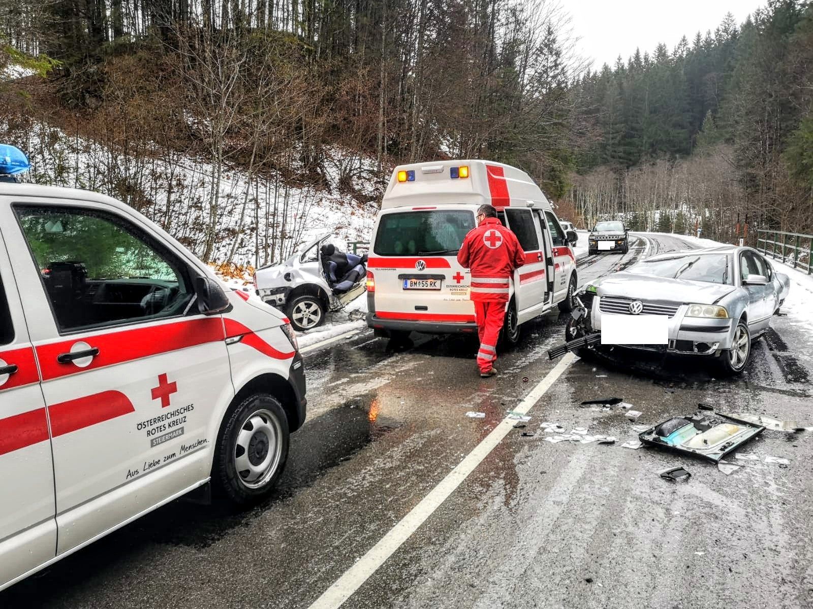 Ein nachkommender Lenker alarmierte die Rettungskräfte und leistete Erste Hilfe.