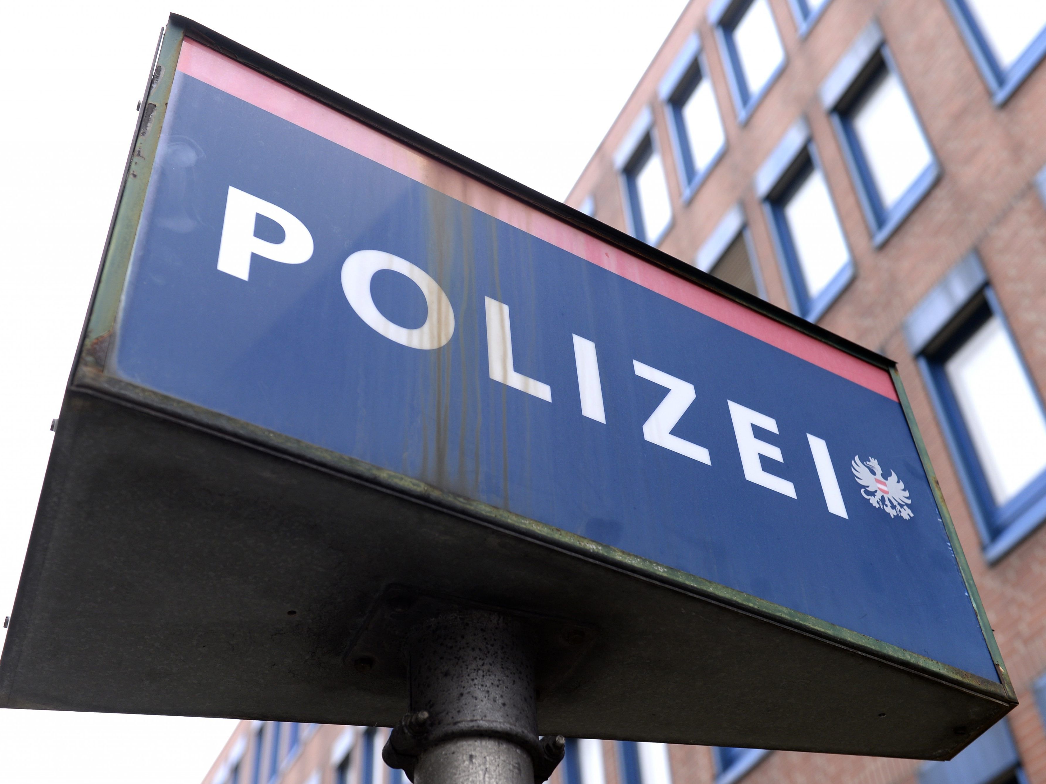 Zwei Männer aus Wien befinden sich in Haft.