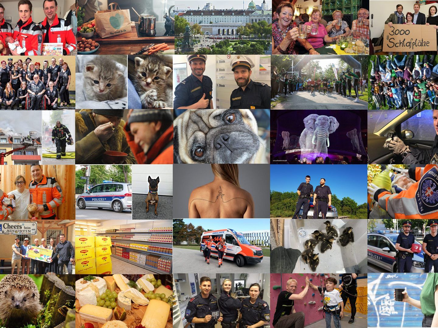 In Wien gibt es jeden Tag auch gute Nachrichten. Es ist wichtig, dass die nicht gleich untergehen.