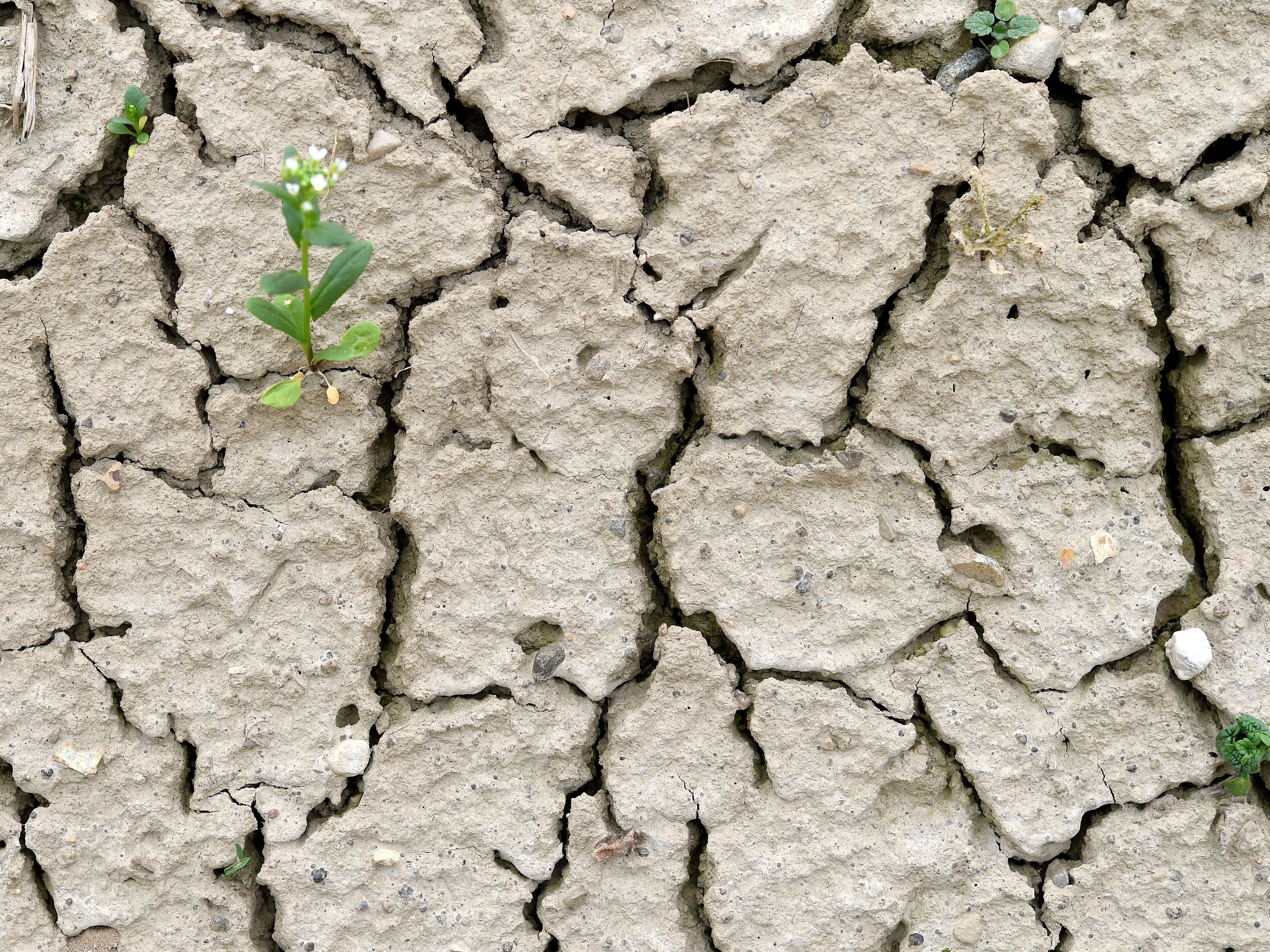 Für junge Erwachsene ist der Klimawandel das drängenste Thema.