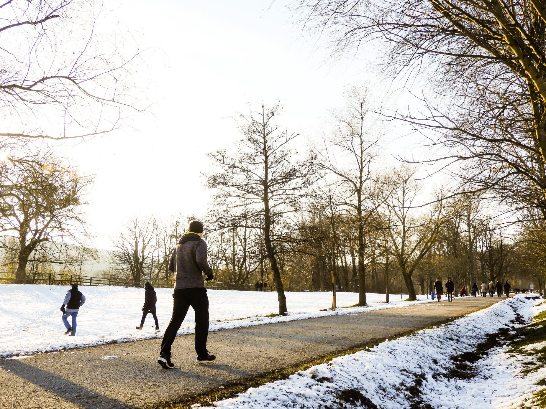 Wandern und erholen im Lainzer Tiergarten bietet sich besonders in der Weihnachtszeit an