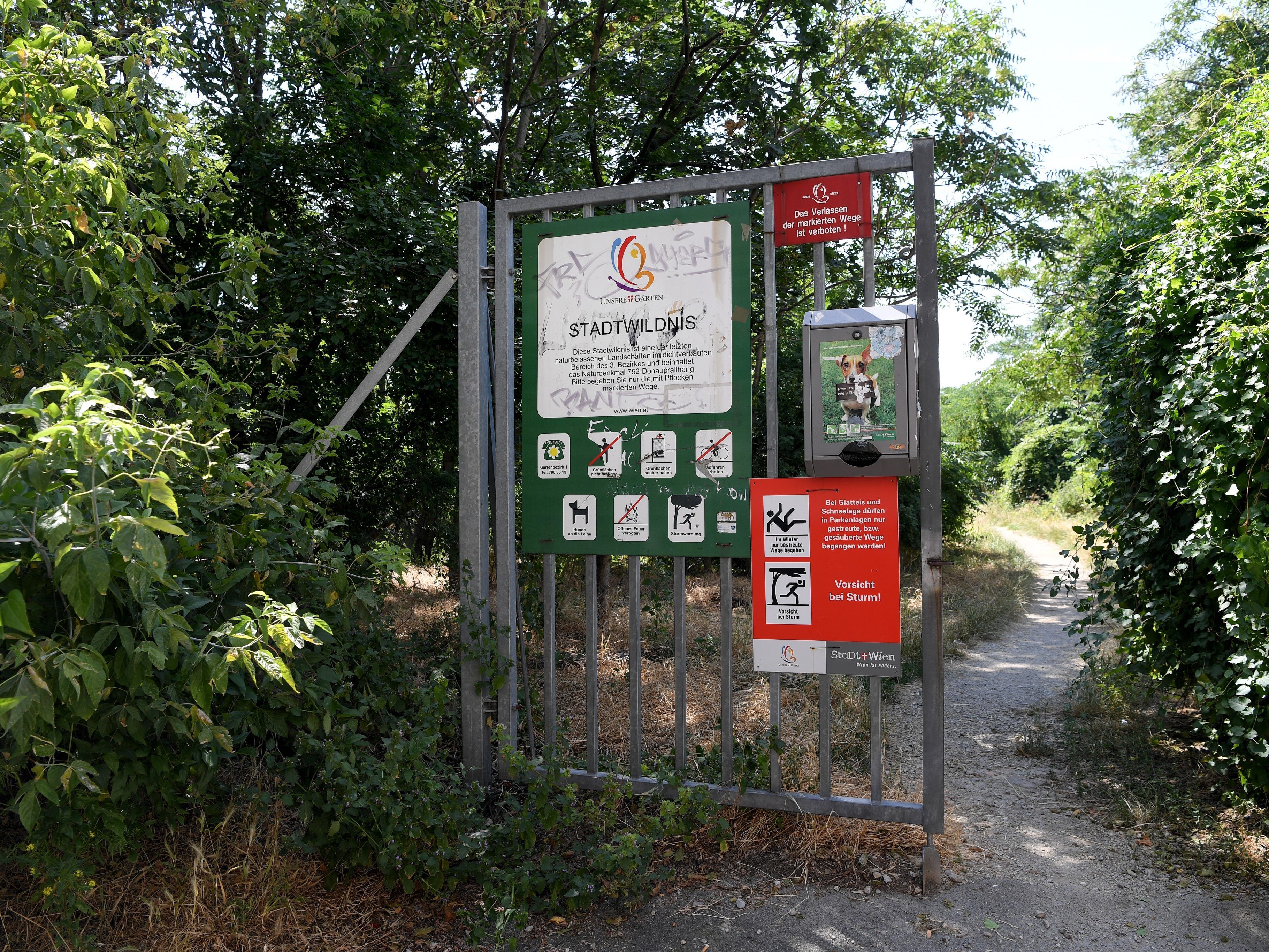 In diesem Park in Wien-Landstraße wurde zwei Tage später die Leiche entdeckt.