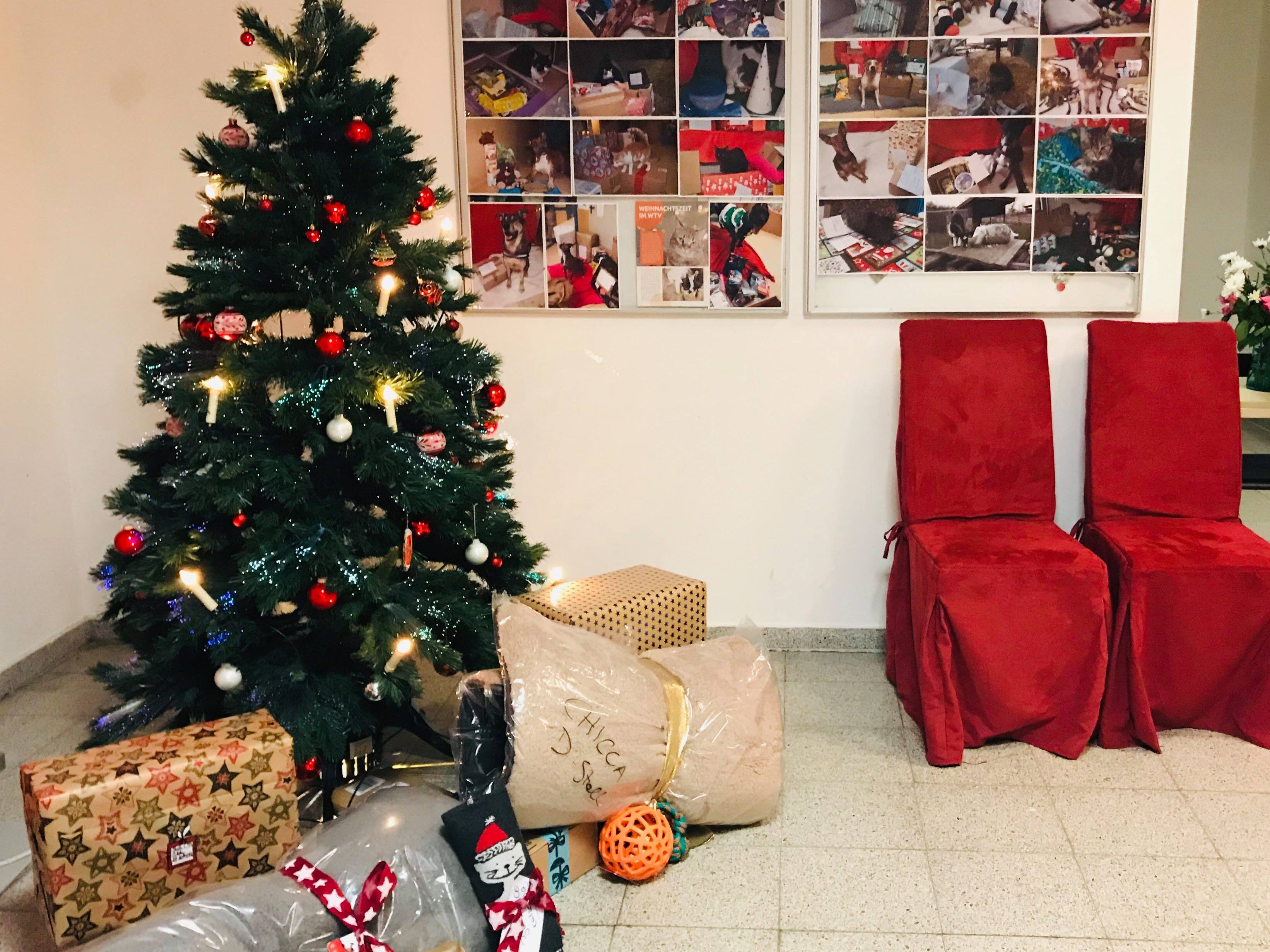 Shoppen und Punschen und dabei den WTV-Schützlingen helfen.